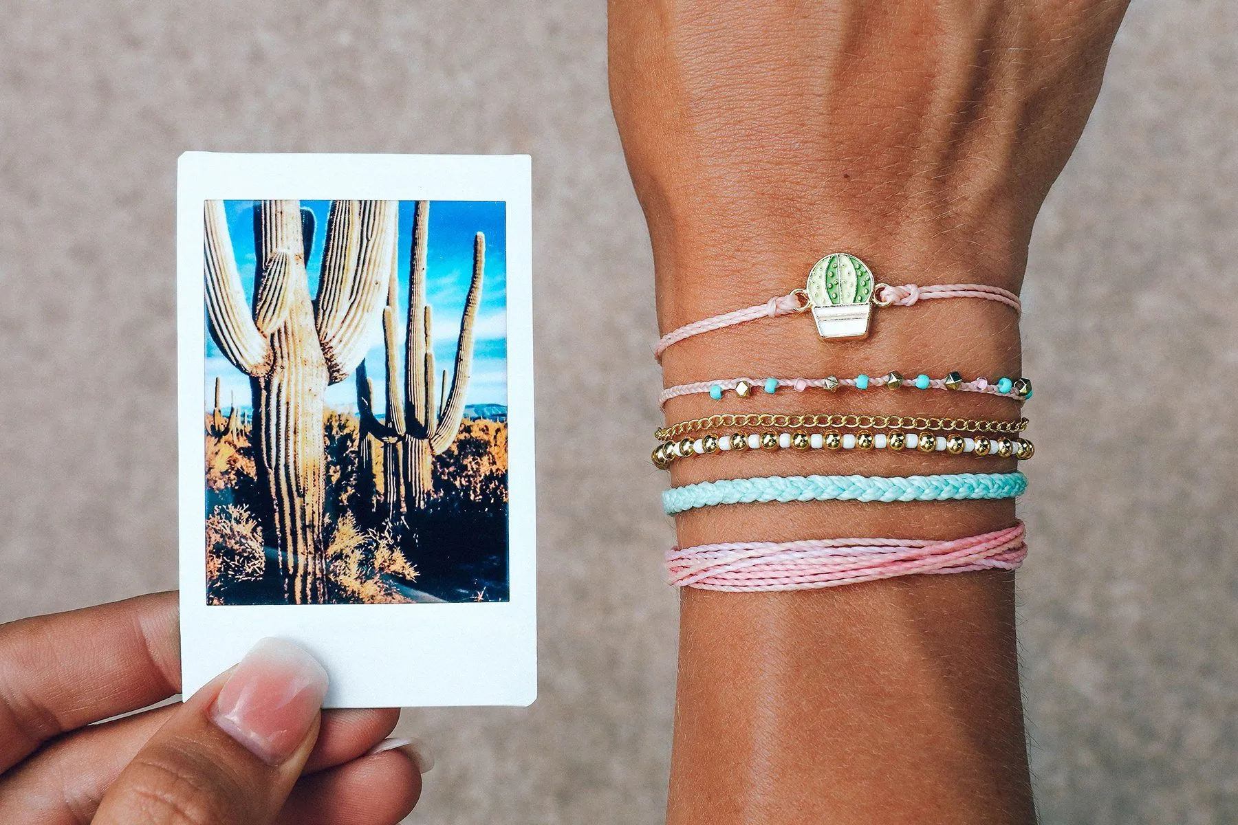 Succulent Pack sold by Pura Vida product image thumbnail 3