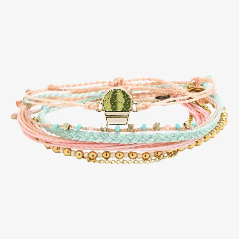 Succulent Pack sold by Pura Vida