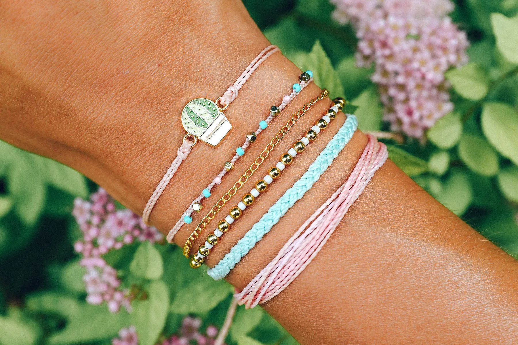 Succulent Pack sold by Pura Vida product image thumbnail 2