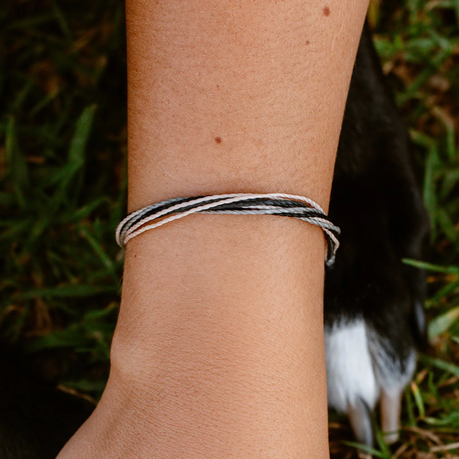 Pet Rescue Bracelet sold by Pura Vida product image thumbnail 4