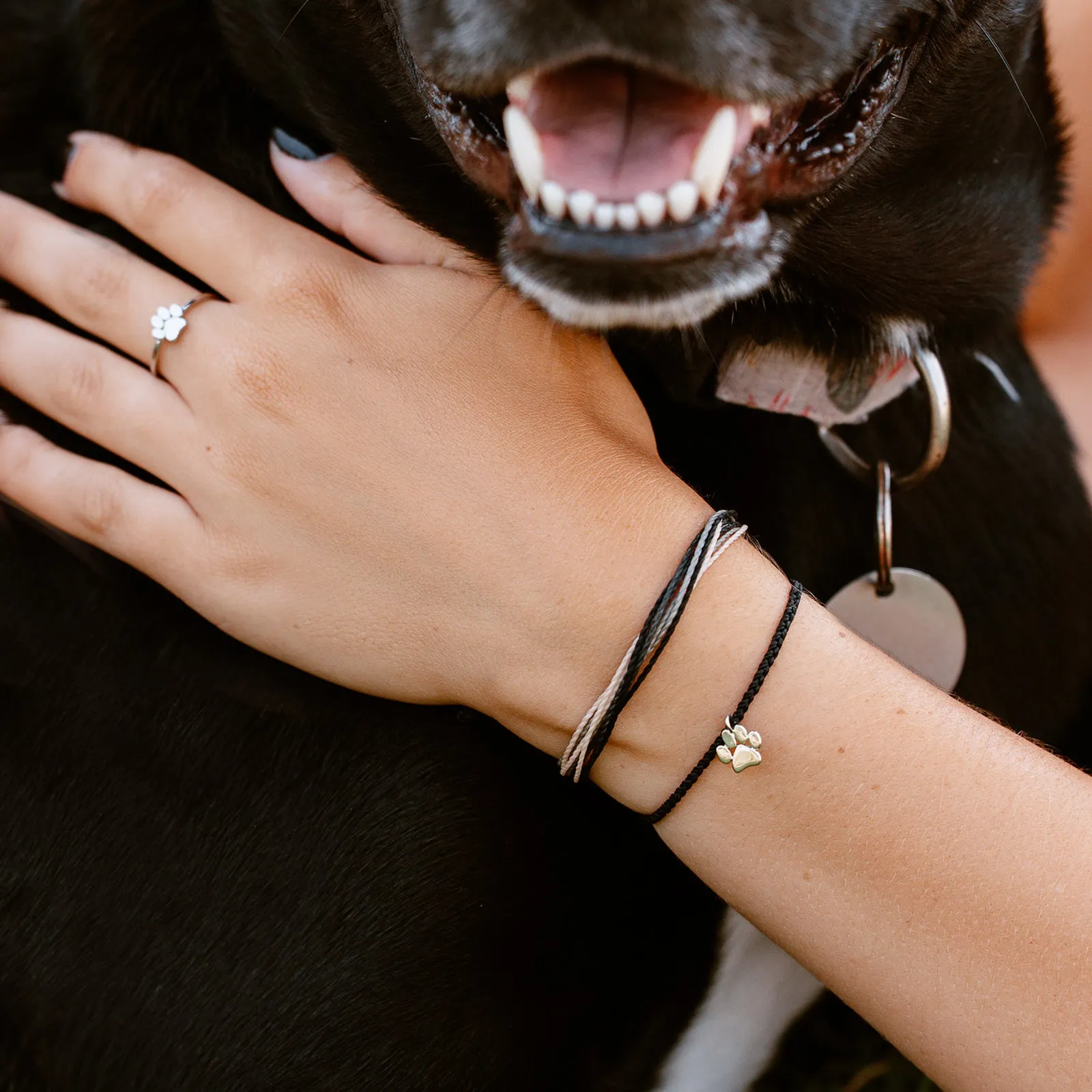 Pet Rescue Bracelet sold by Pura Vida product image thumbnail 3