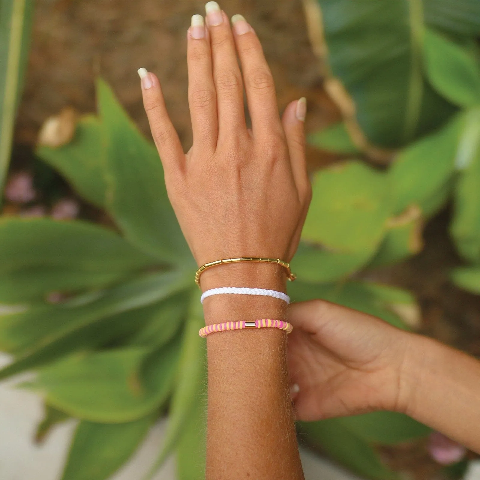 The Tropics Pack sold by Pura Vida product image thumbnail 3