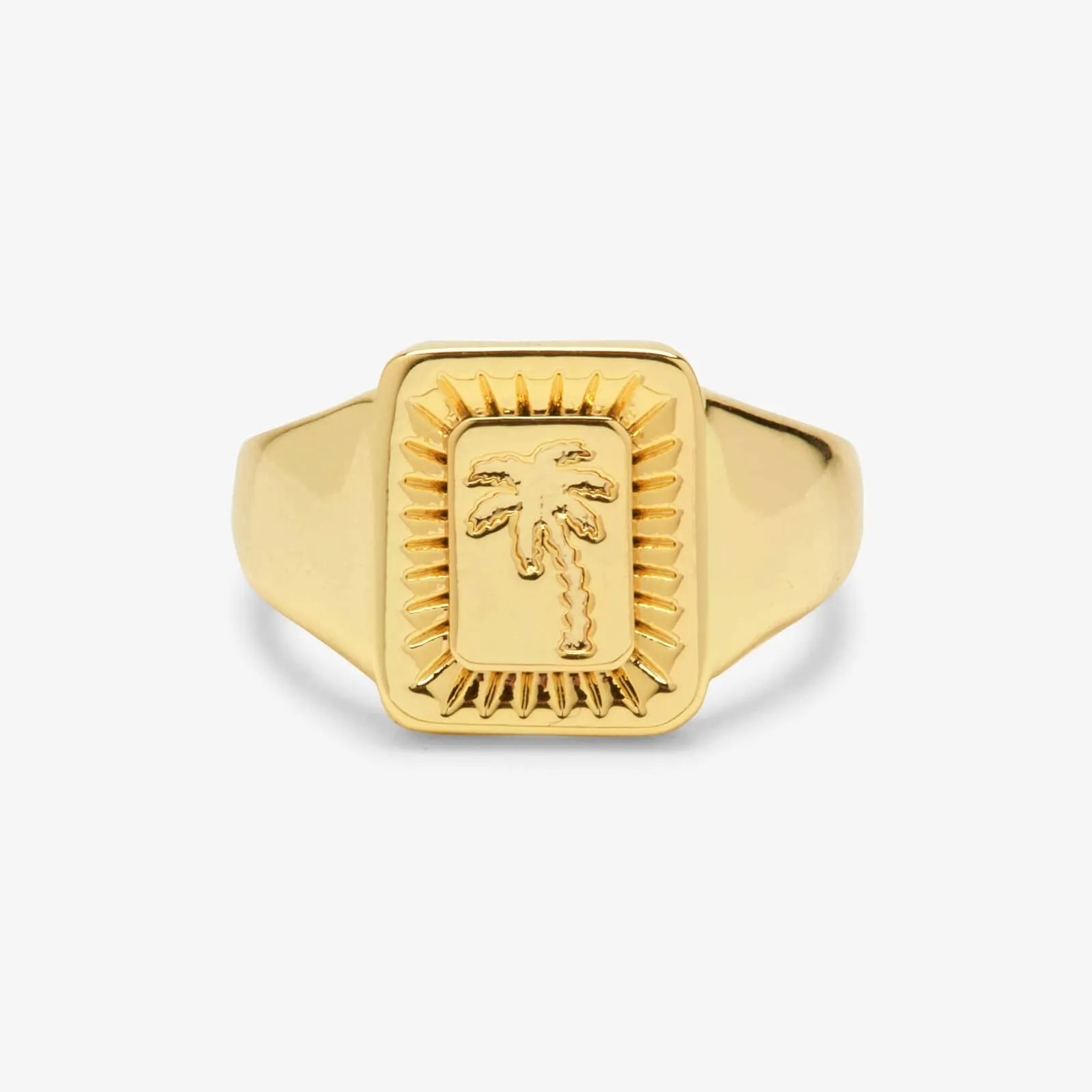 Palm Burst Signet Ring sold by Pura Vida
