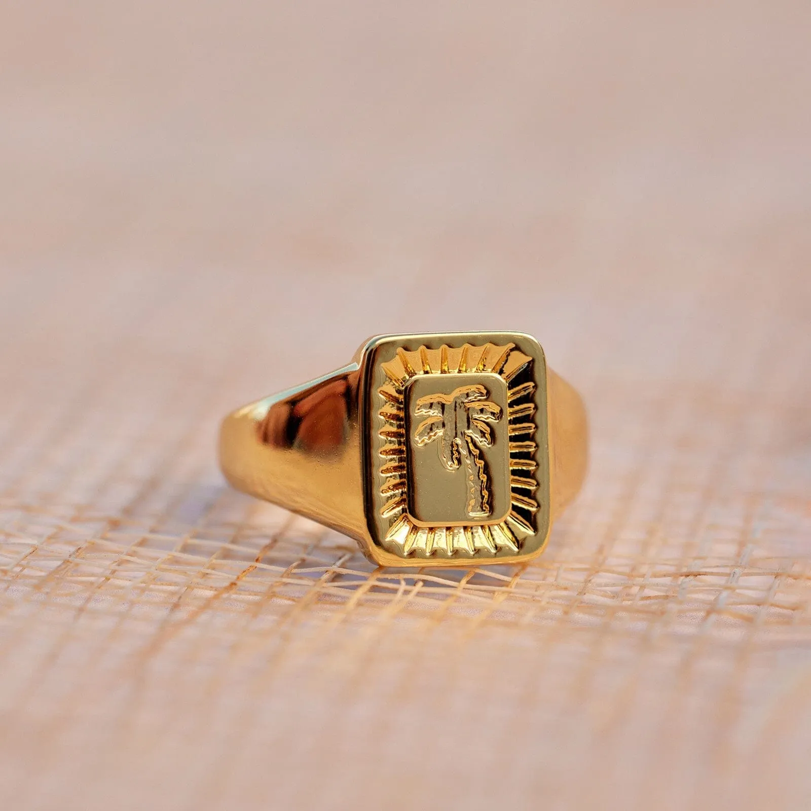 Palm Burst Signet Ring sold by Pura Vida product image thumbnail 3