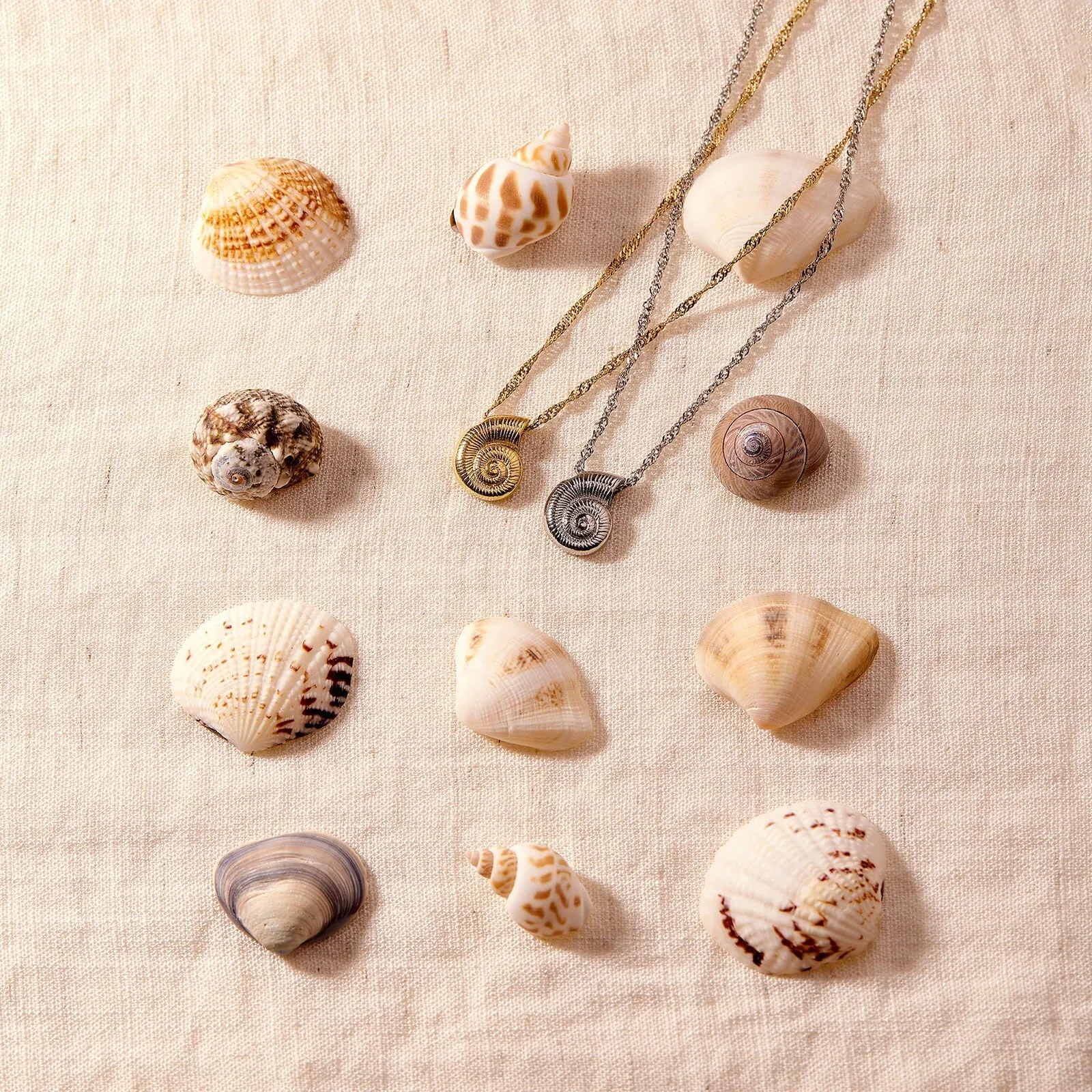 Seashell Pendant Necklace sold by Pura Vida product image thumbnail 4