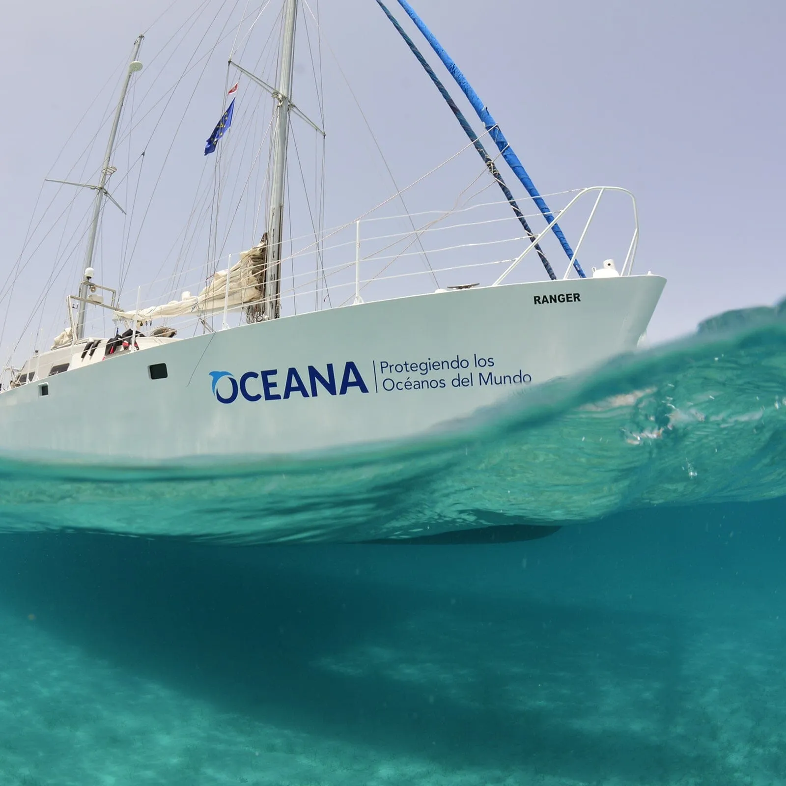 Shark Multi Charm sold by Pura Vida product image thumbnail 3