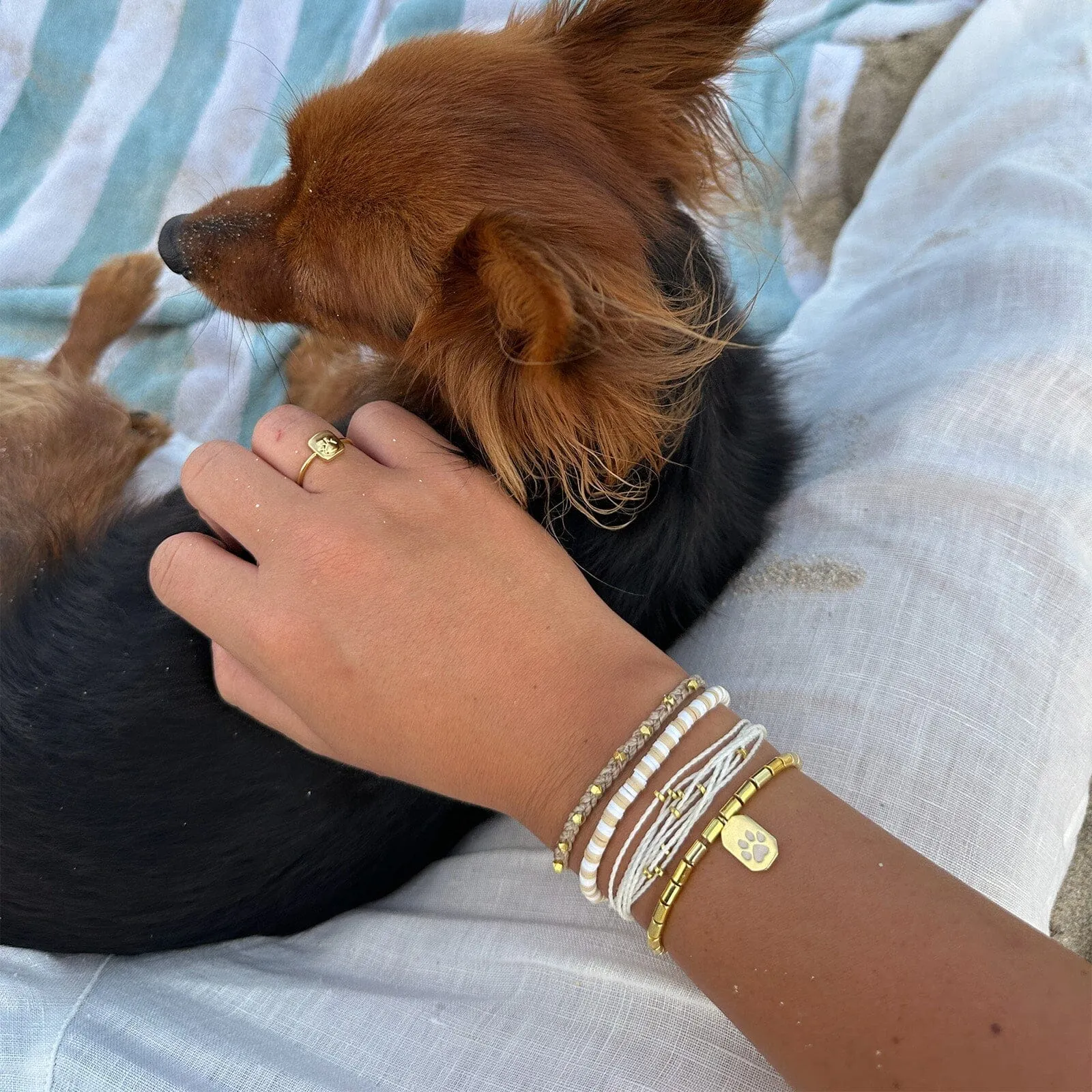 Pet Rescue Style Pack sold by Pura Vida product image thumbnail 5