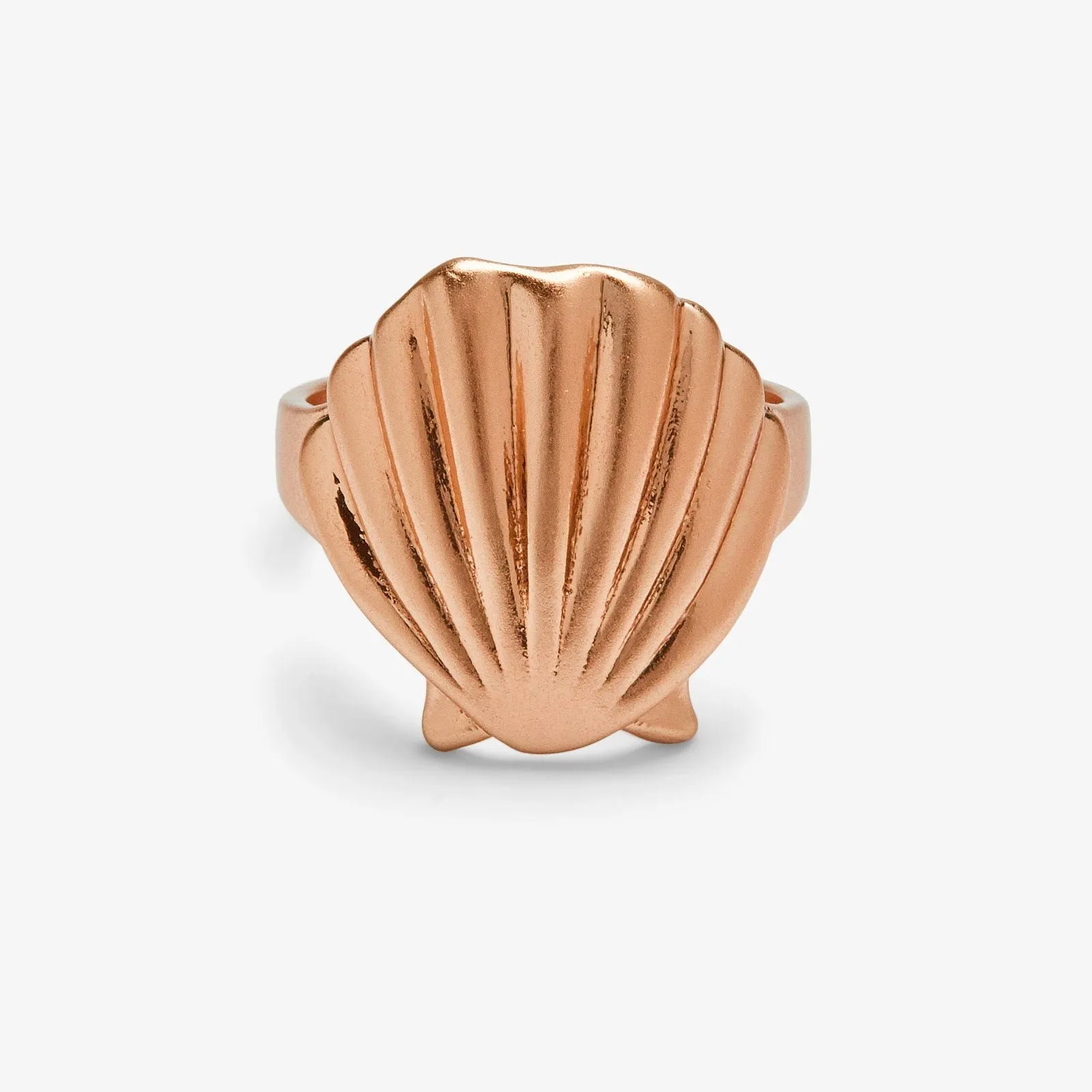 Flat Shell Ring sold by Pura Vida product image thumbnail 2