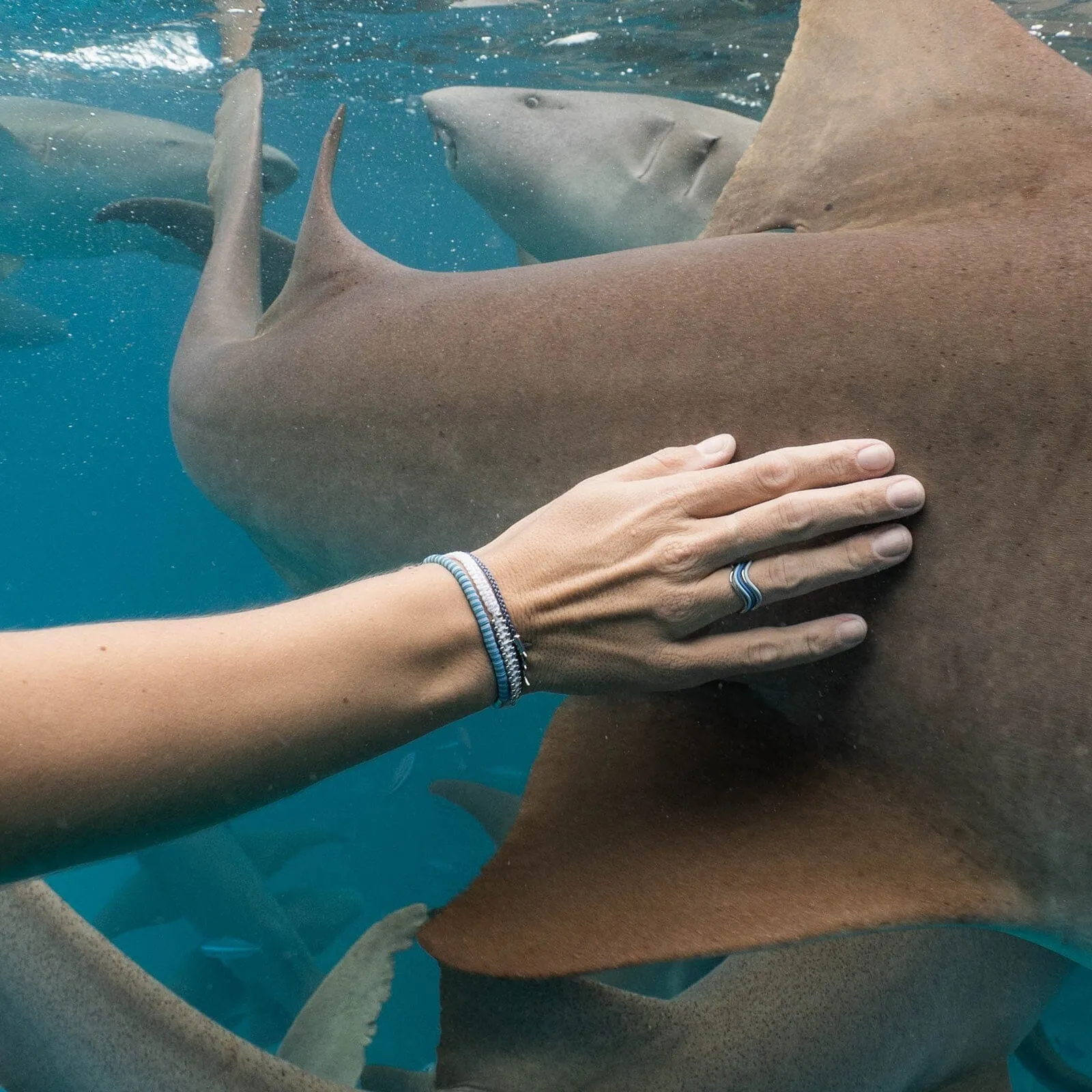 Wavy Enamel Ring Stack sold by Pura Vida product image thumbnail 3