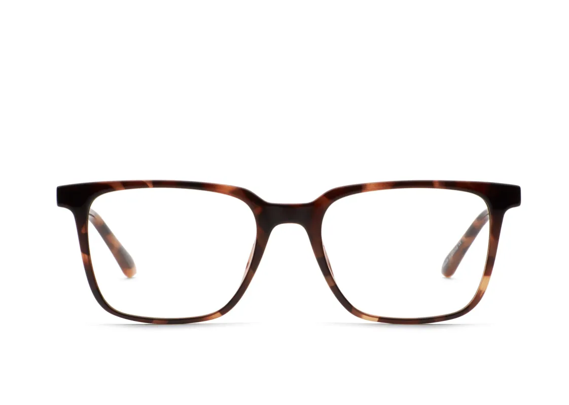 ALGORITHM MEDIUM RX sold by Quay Australia