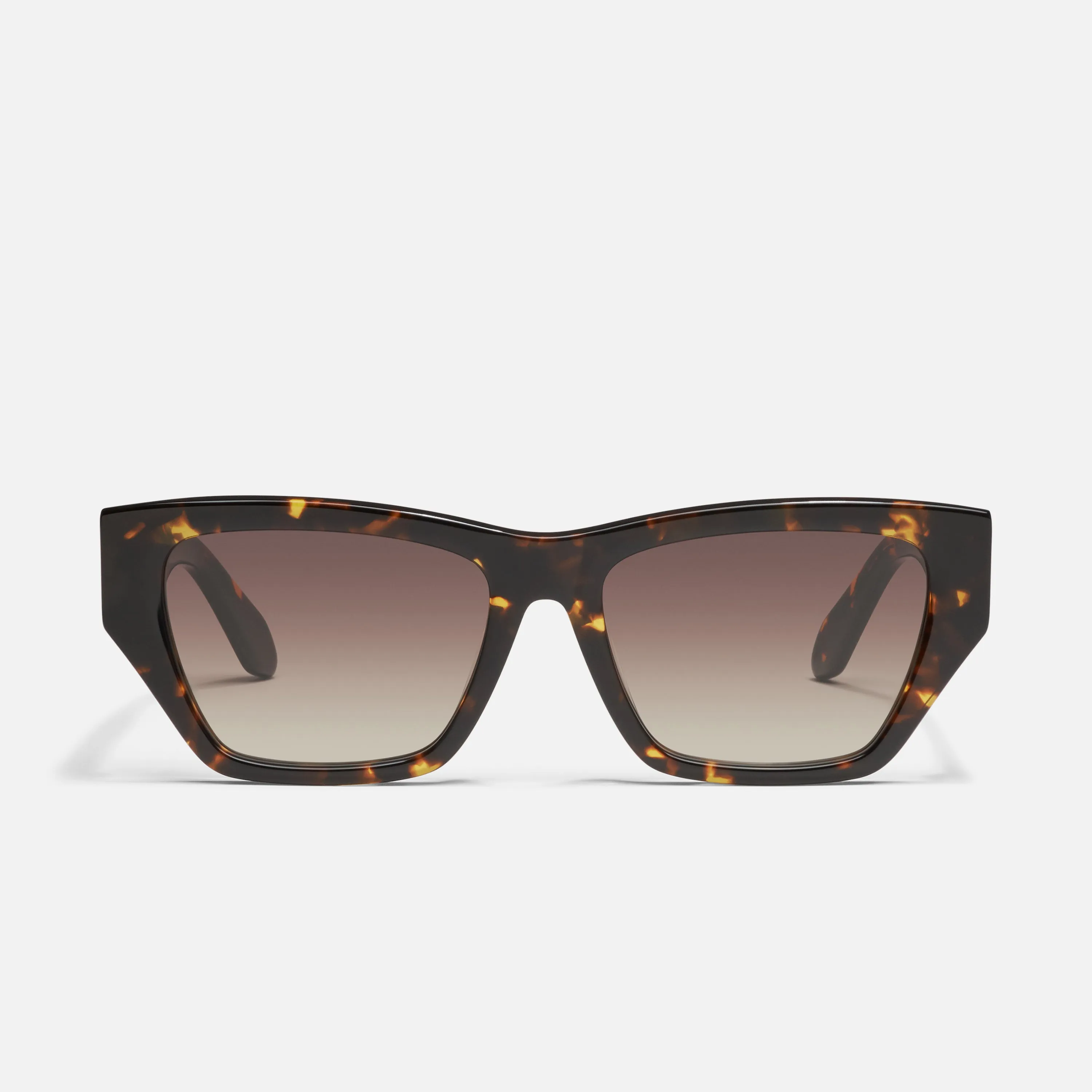 NO APOLOGIES sold by Quay Australia