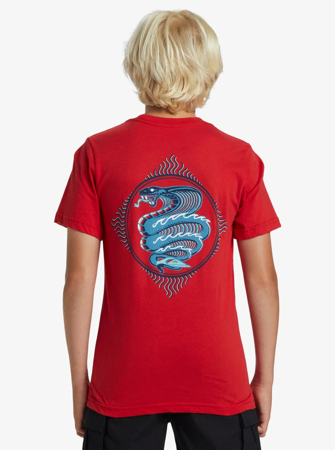 Boys 8-16 Snake Charmer T-Shirt - Salsa sold by Quiksilver product image thumbnail 5