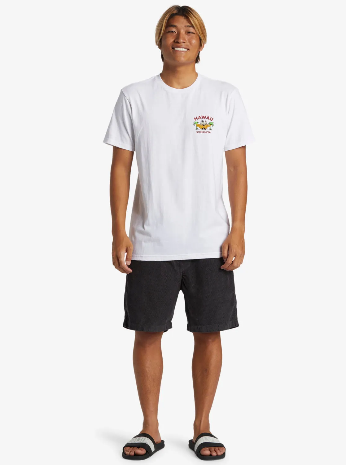 Hawaii Big Man T-Shirt - White sold by Quiksilver product image thumbnail 4