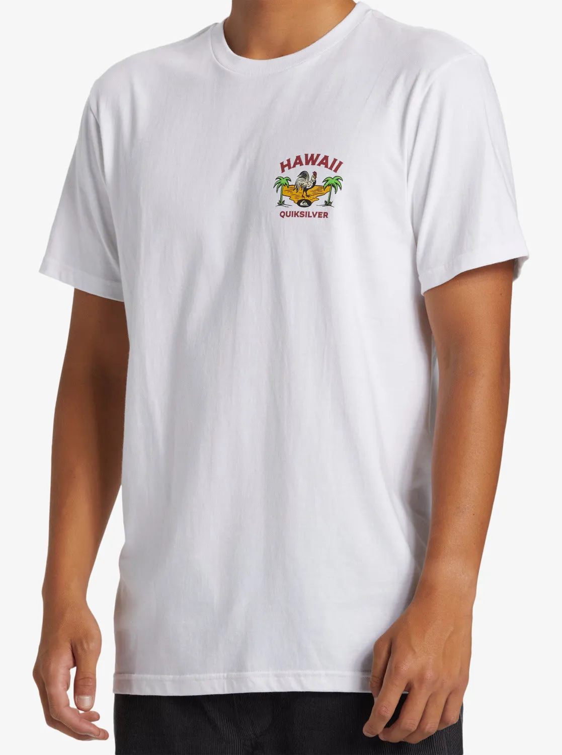 Hawaii Big Man T-Shirt - White sold by Quiksilver product image thumbnail 3