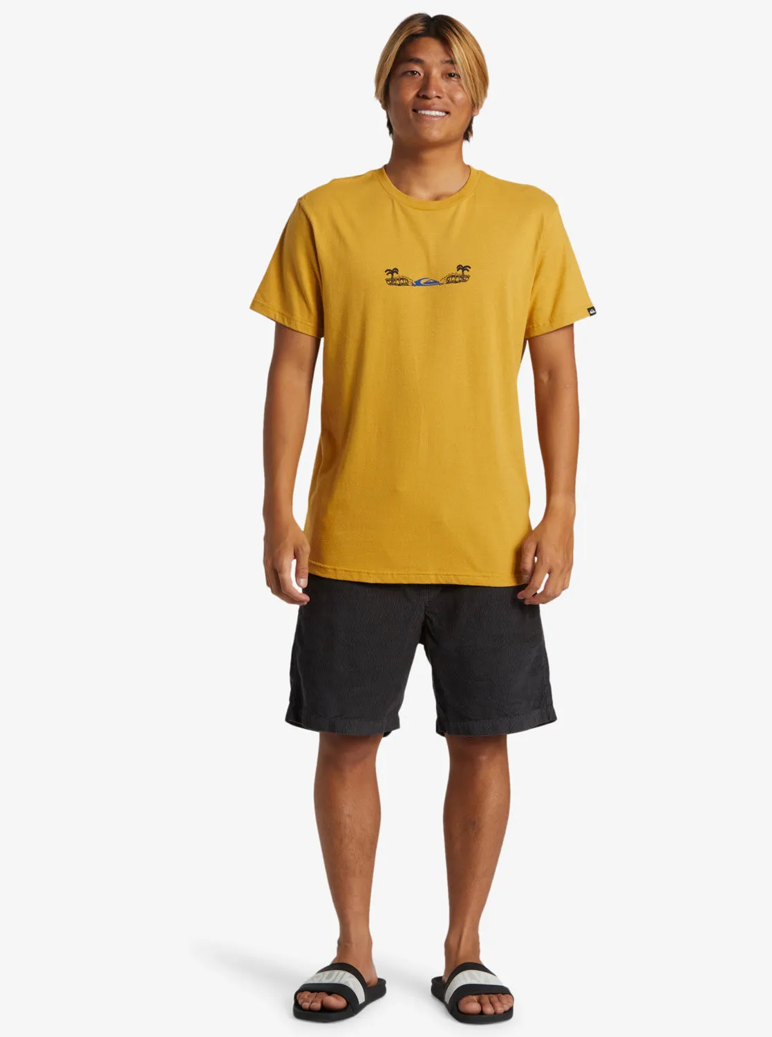 Surf Core T-Shirt - Mustard sold by Quiksilver product image thumbnail 4