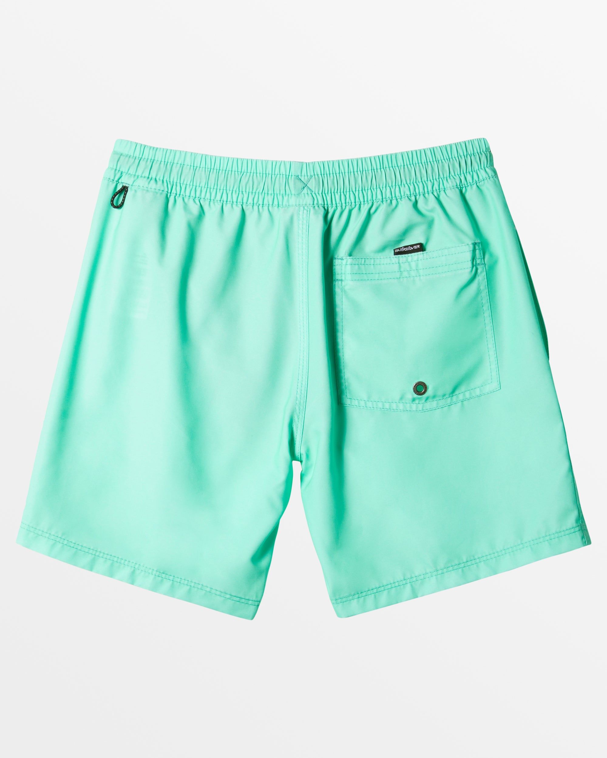 Boys 2-7 Everyday Solid Volley 12" Boardshort - Beveled Glass sold by Quiksilver product image thumbnail 2