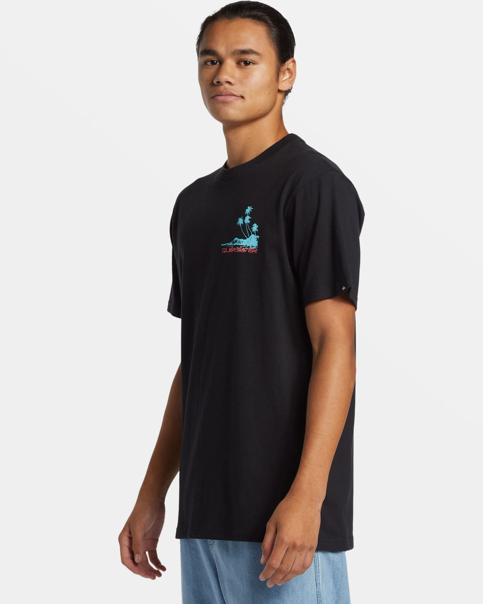 Island Vibes T-Shirt - Black sold by Quiksilver product image thumbnail 4