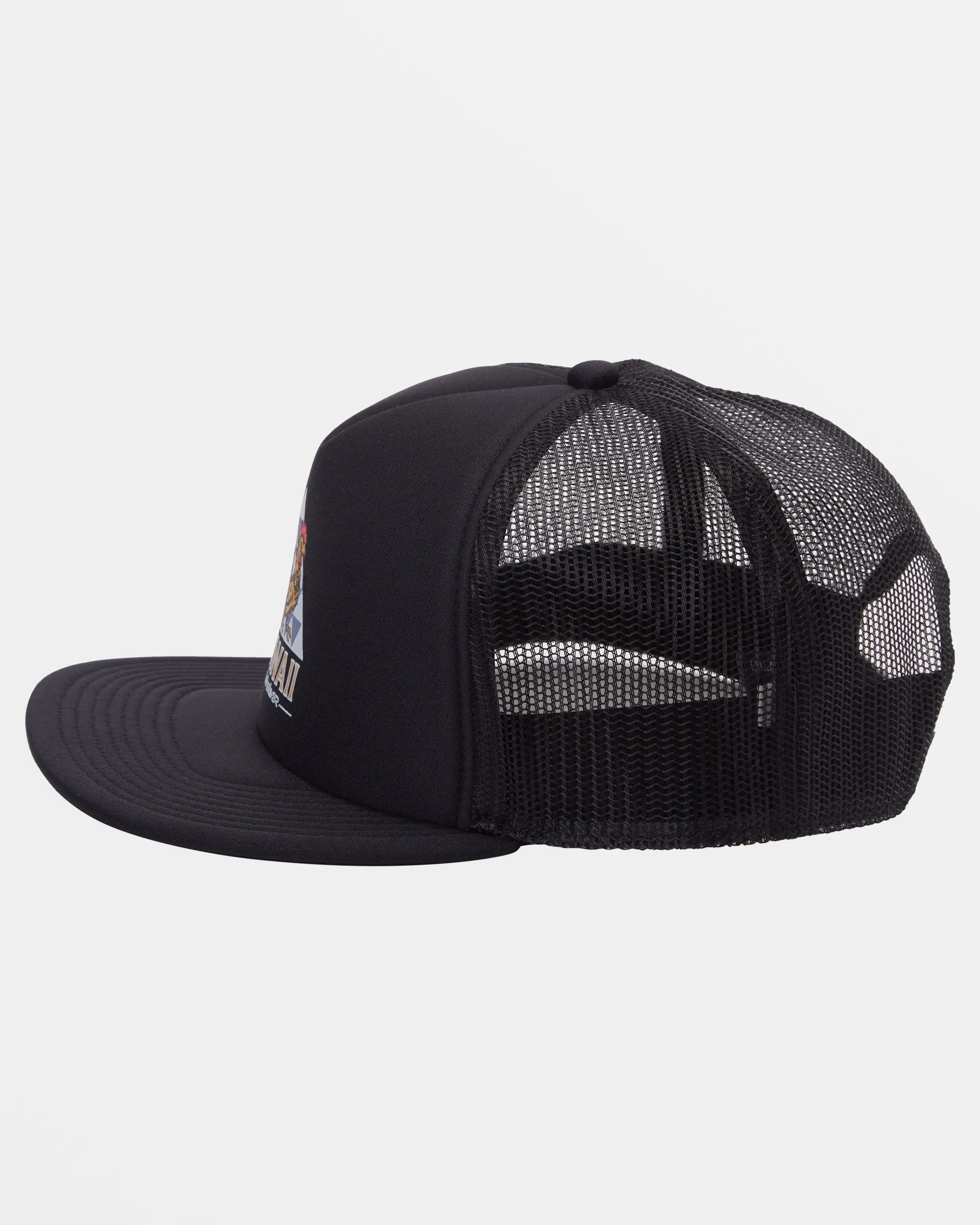 Roosting Trucker Hat - Black sold by Quiksilver product image thumbnail 2