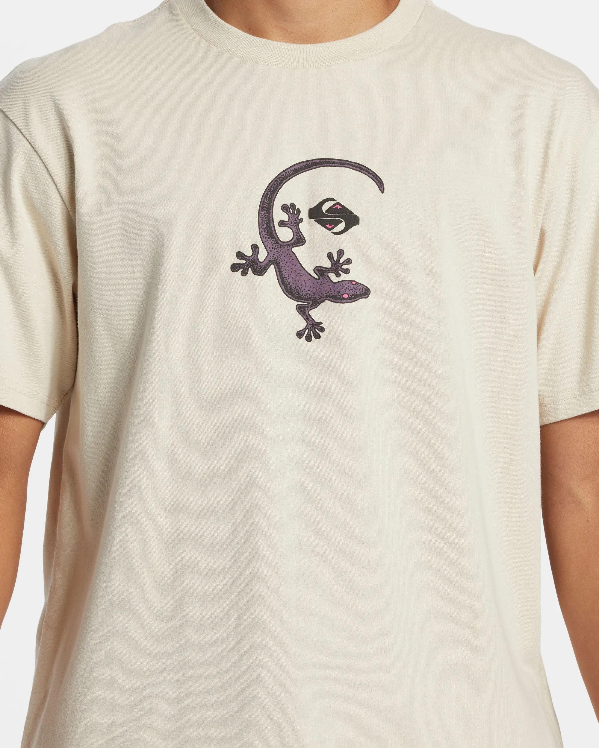 Gecko T-Shirt - Fog sold by Quiksilver product image thumbnail 5