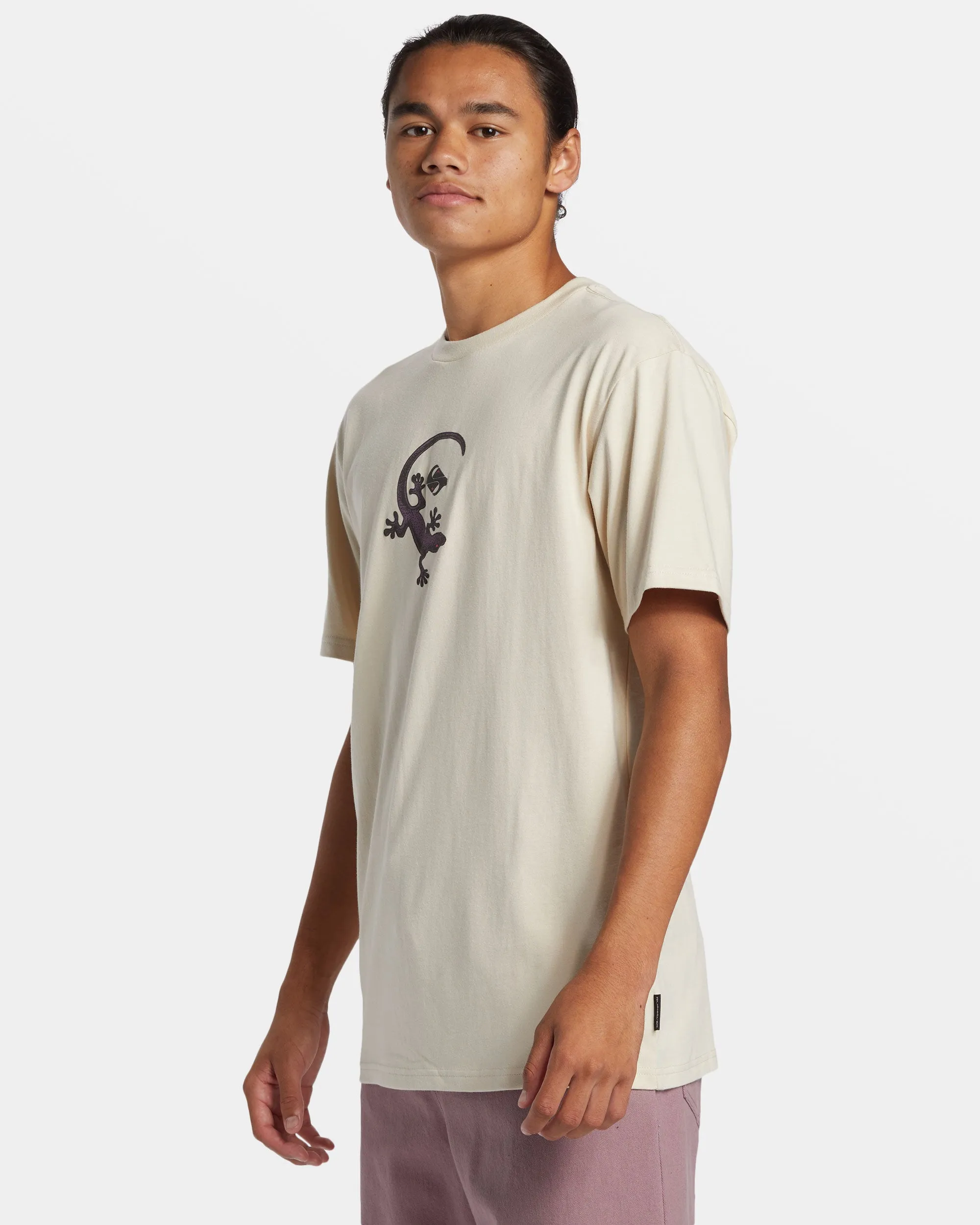 Gecko T-Shirt - Fog sold by Quiksilver product image thumbnail 4