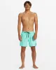 Everyday Solid 15" Swim Trunks - Beveled Glass sold by Quiksilver