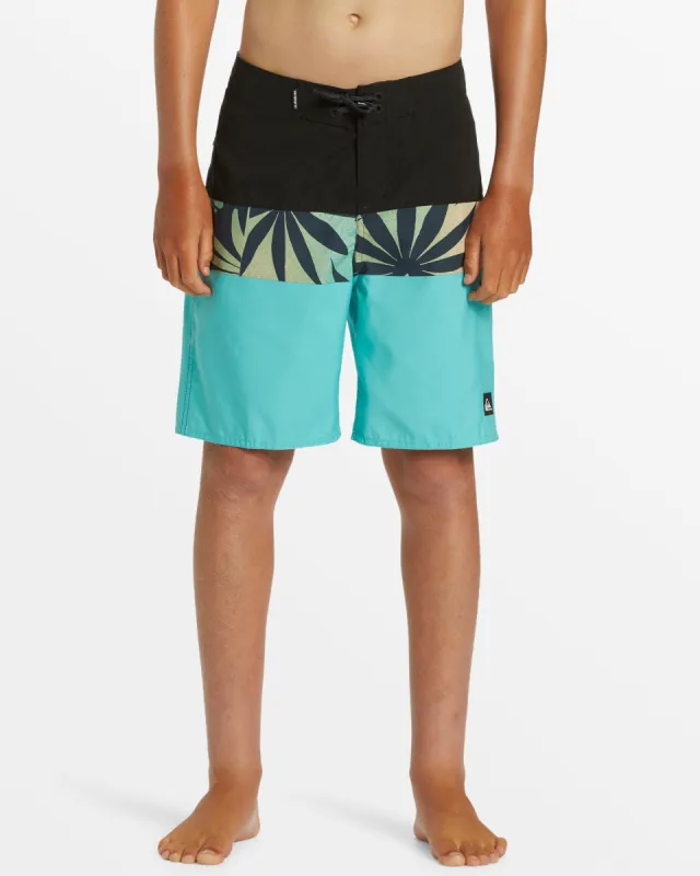 Boys 8-16 Everyday Panel 17" Boardshorts - sold by Quiksilver