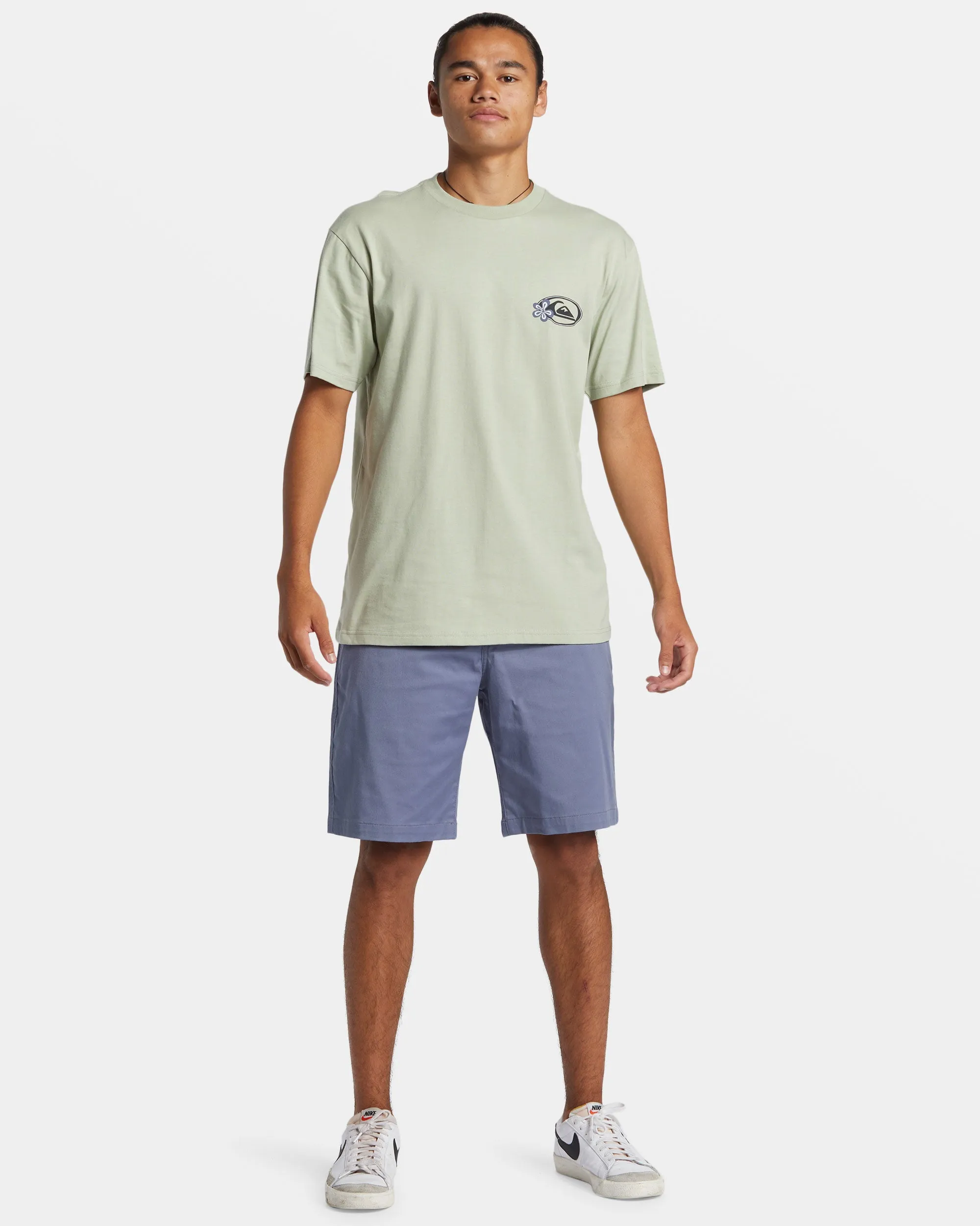 Celestial Guardian T-Shirt - Desert Sage sold by Quiksilver product image thumbnail 3