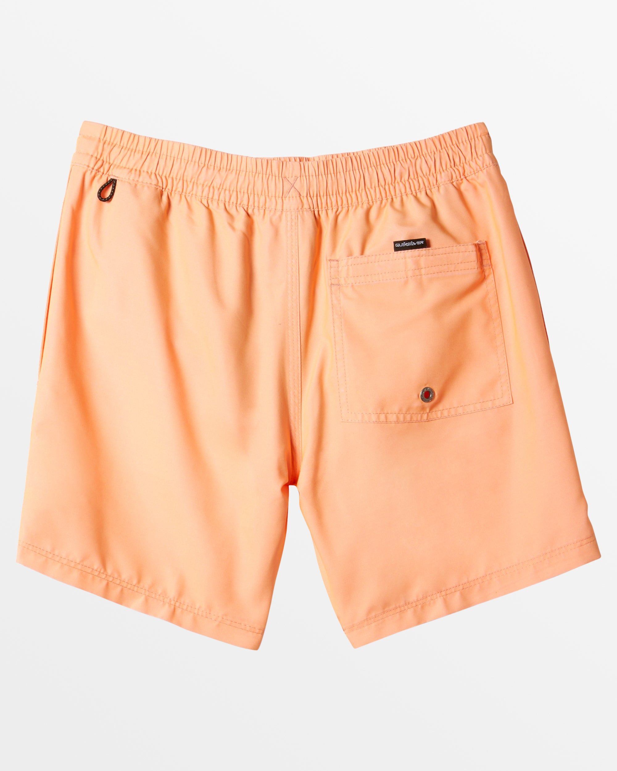 Boys 2-7 Everyday Solid Volley 12" Boardshort - Papaya Punch sold by Quiksilver product image thumbnail 2