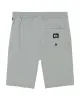 Boys 8-16 Ocean Taxer Amphibian Hybrid Shorts - Quarry sold by Quiksilver