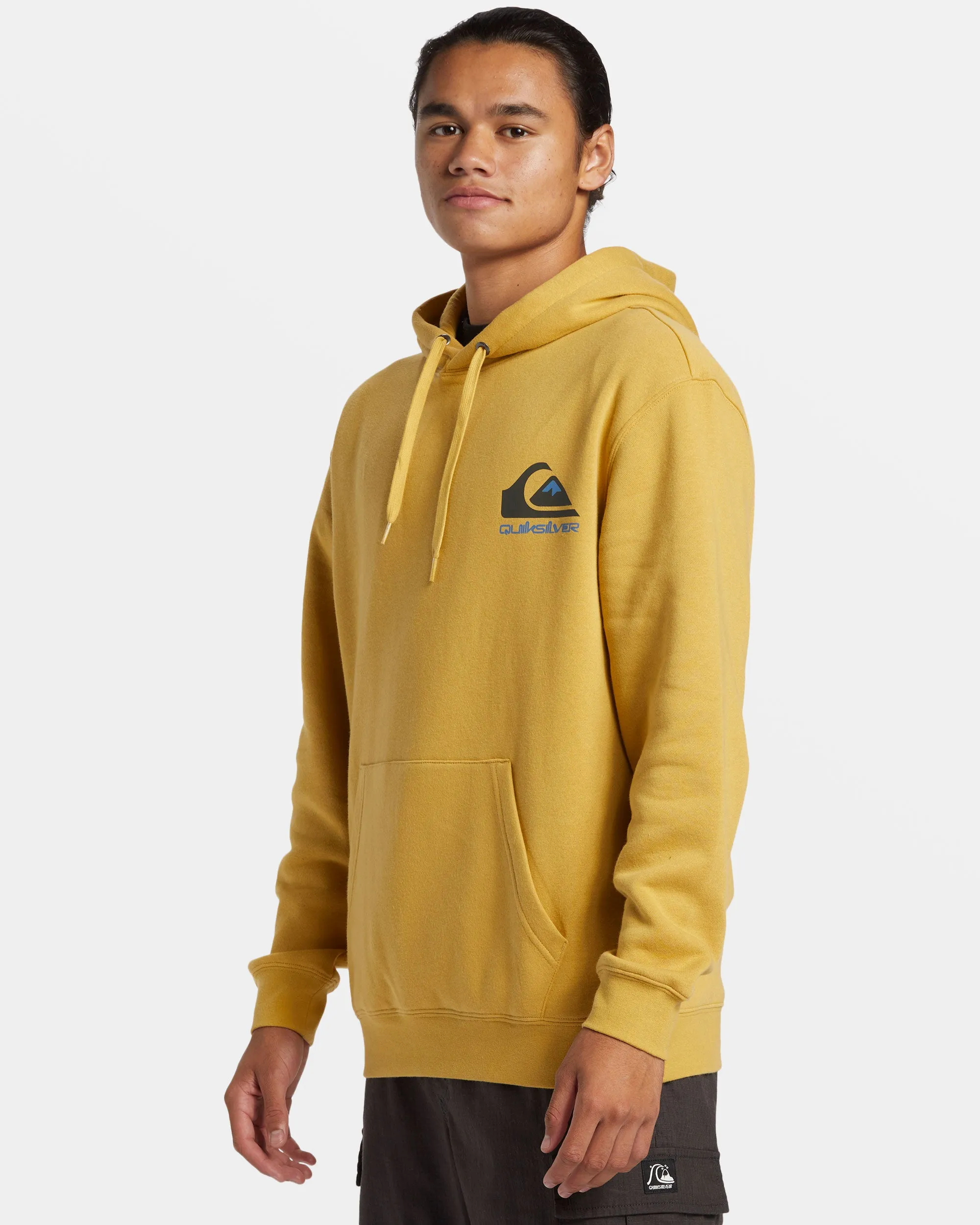 Omni Logo Hoodie - Fall Leaf sold by Quiksilver product image thumbnail 4