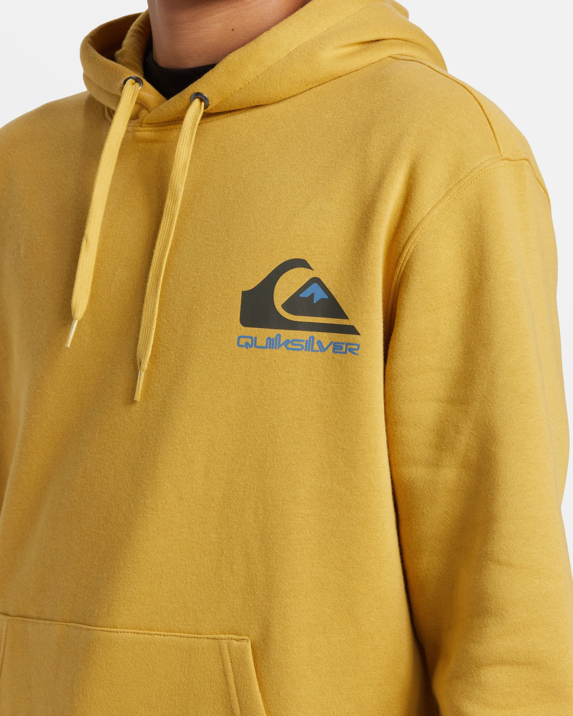 Omni Logo Hoodie - Fall Leaf sold by Quiksilver product image thumbnail 5