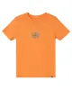 Boys 2-7 Anything Goes Kt0 T-Shirt - Celosia Orange sold by Quiksilver