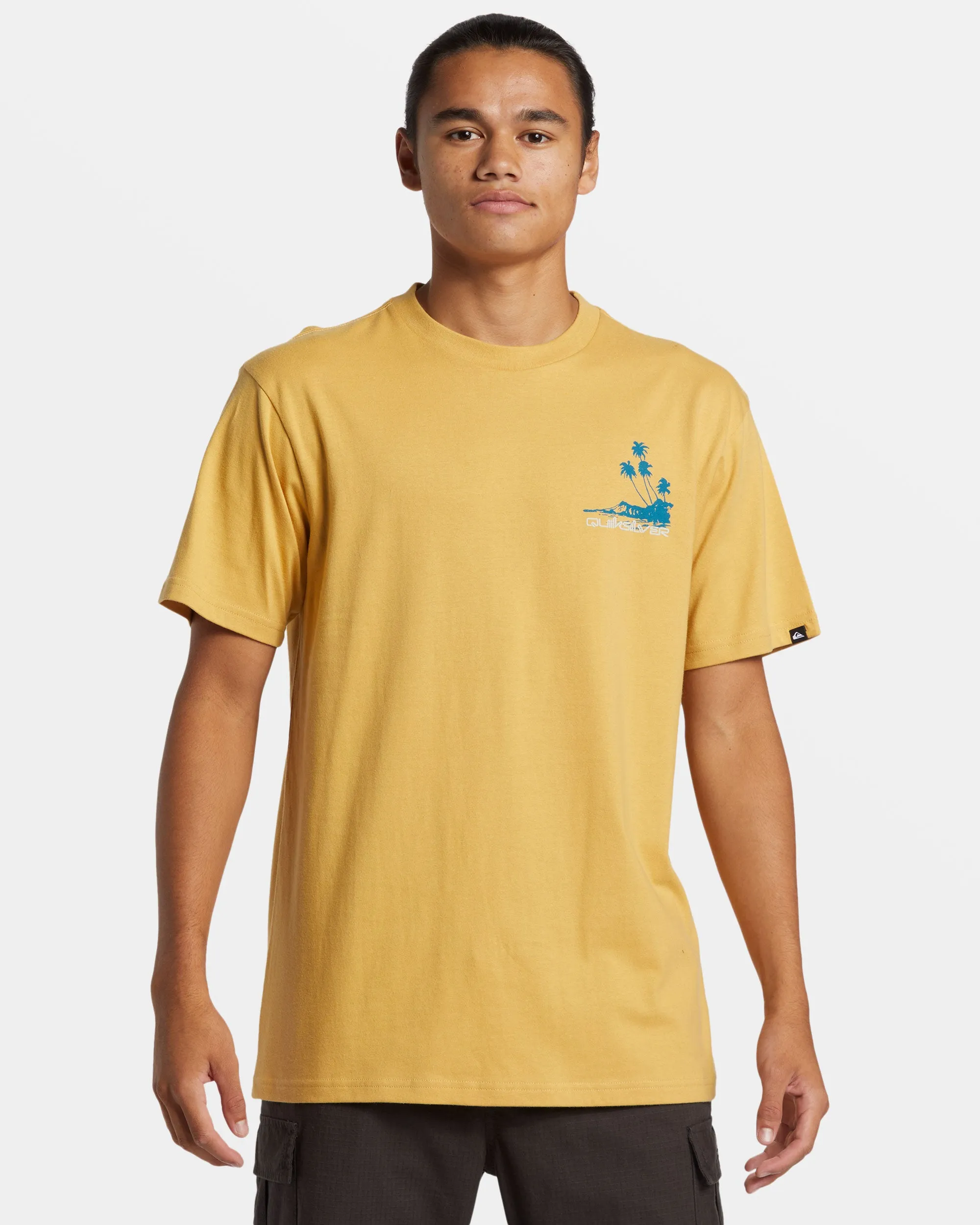 Island Vibes T-Shirt - Fall Leaf sold by Quiksilver