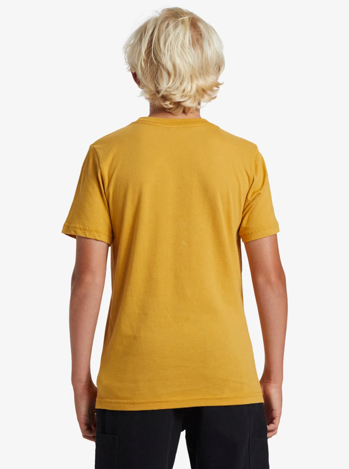 Boys 8-16 Dala Jungle T-Shirt - Mustard sold by Quiksilver product image thumbnail 5