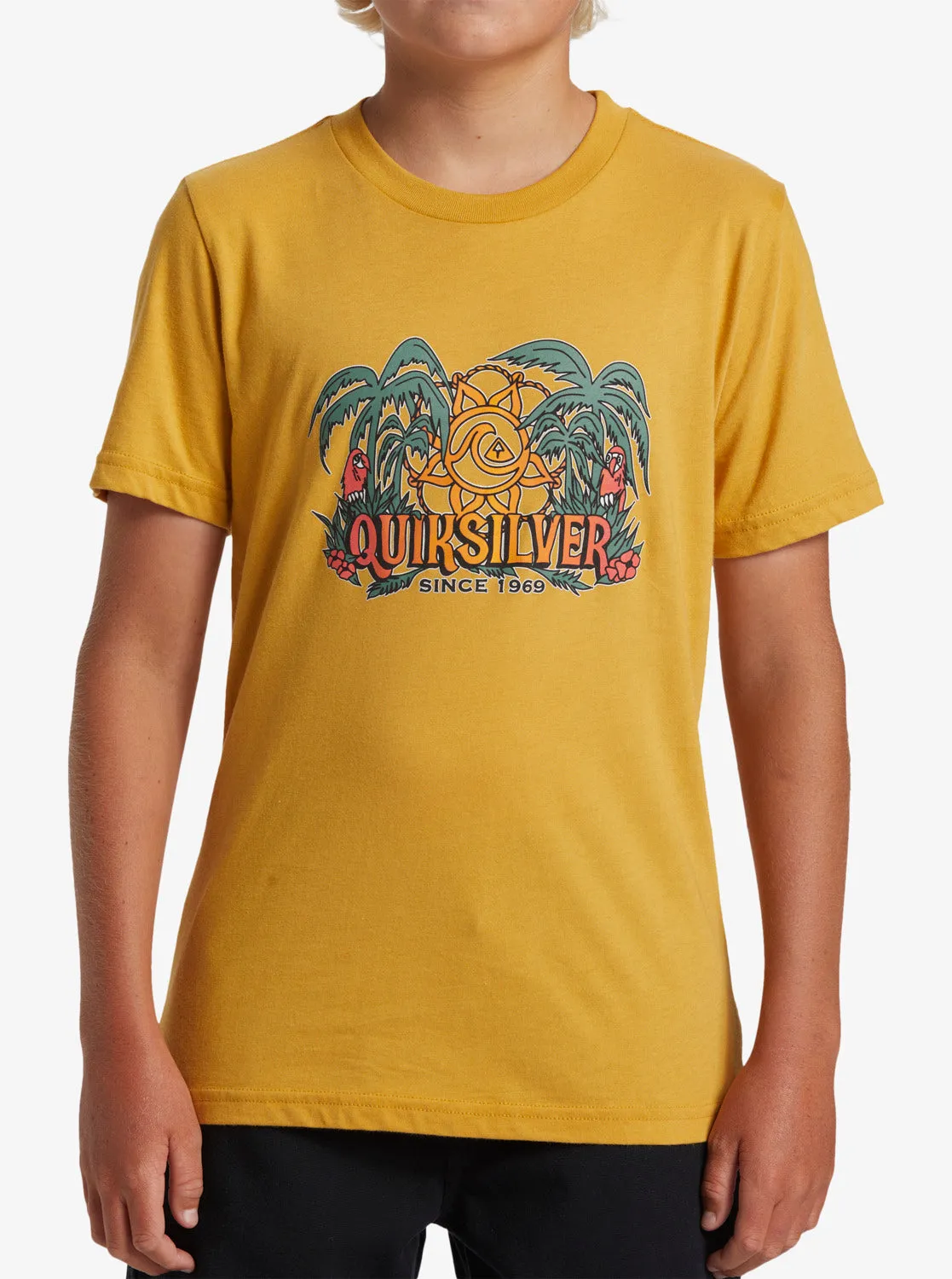Boys 8-16 Dala Jungle T-Shirt - Mustard sold by Quiksilver product image thumbnail 3