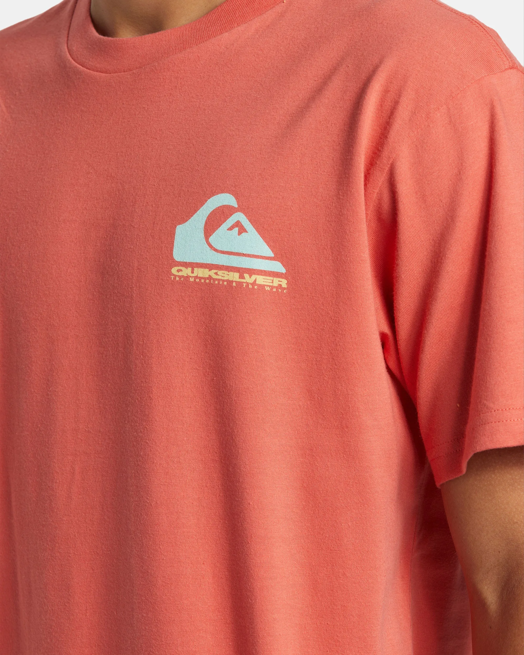 Eye On Horizon T-Shirt - Spiced Coral sold by Quiksilver product image thumbnail 4