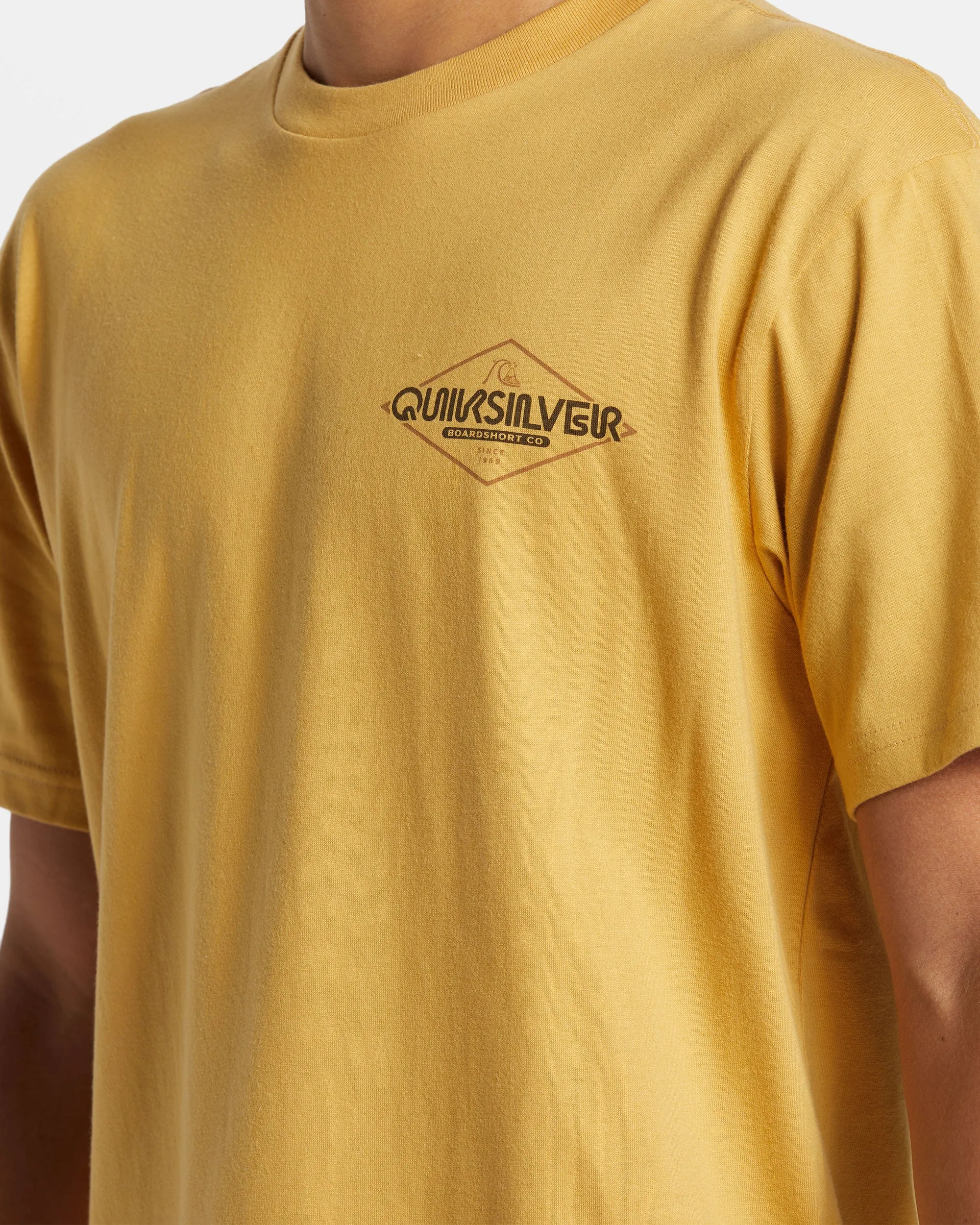 Omni Sign T-Shirt - Fall Leaf sold by Quiksilver product image thumbnail 5