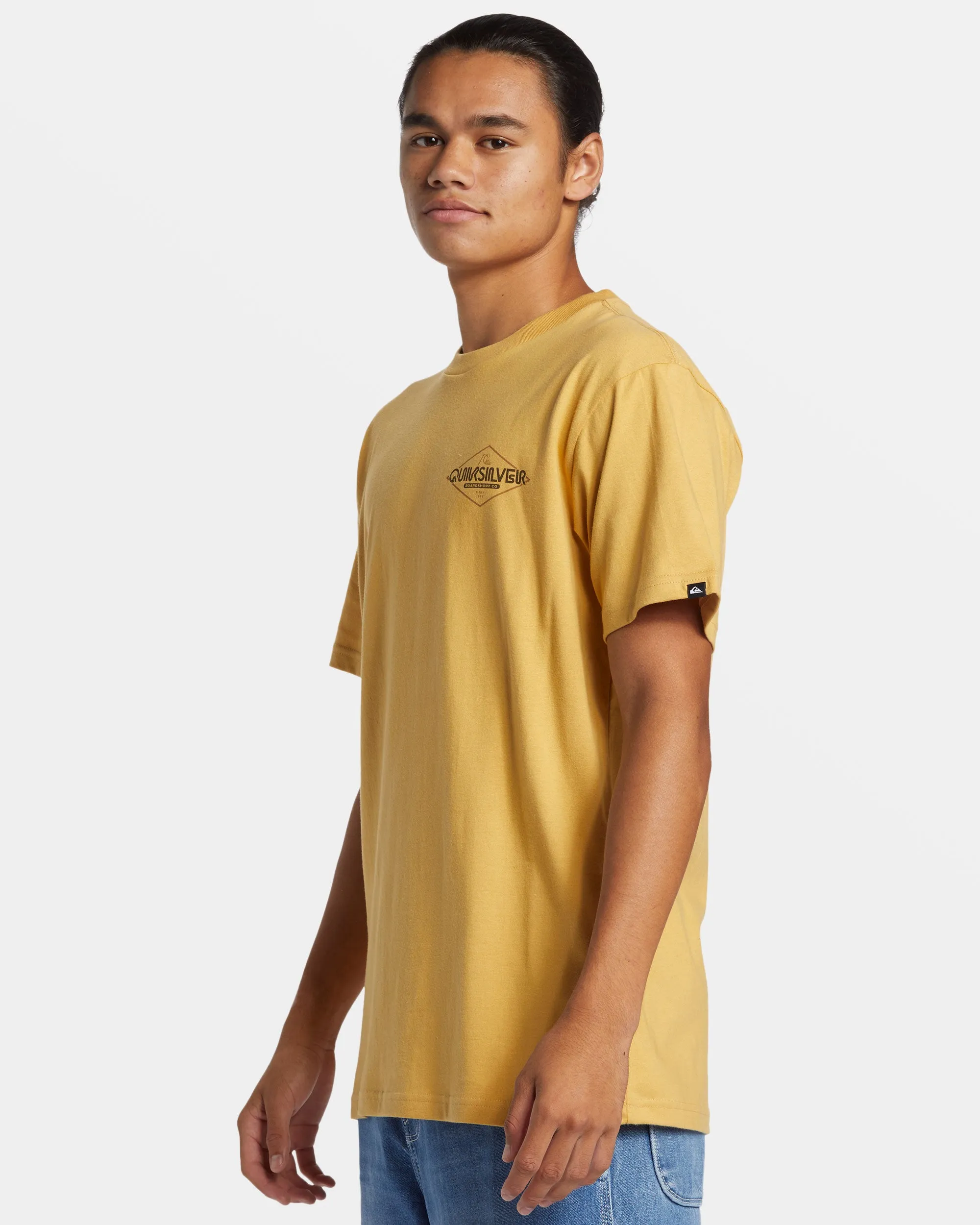 Omni Sign T-Shirt - Fall Leaf sold by Quiksilver product image thumbnail 4