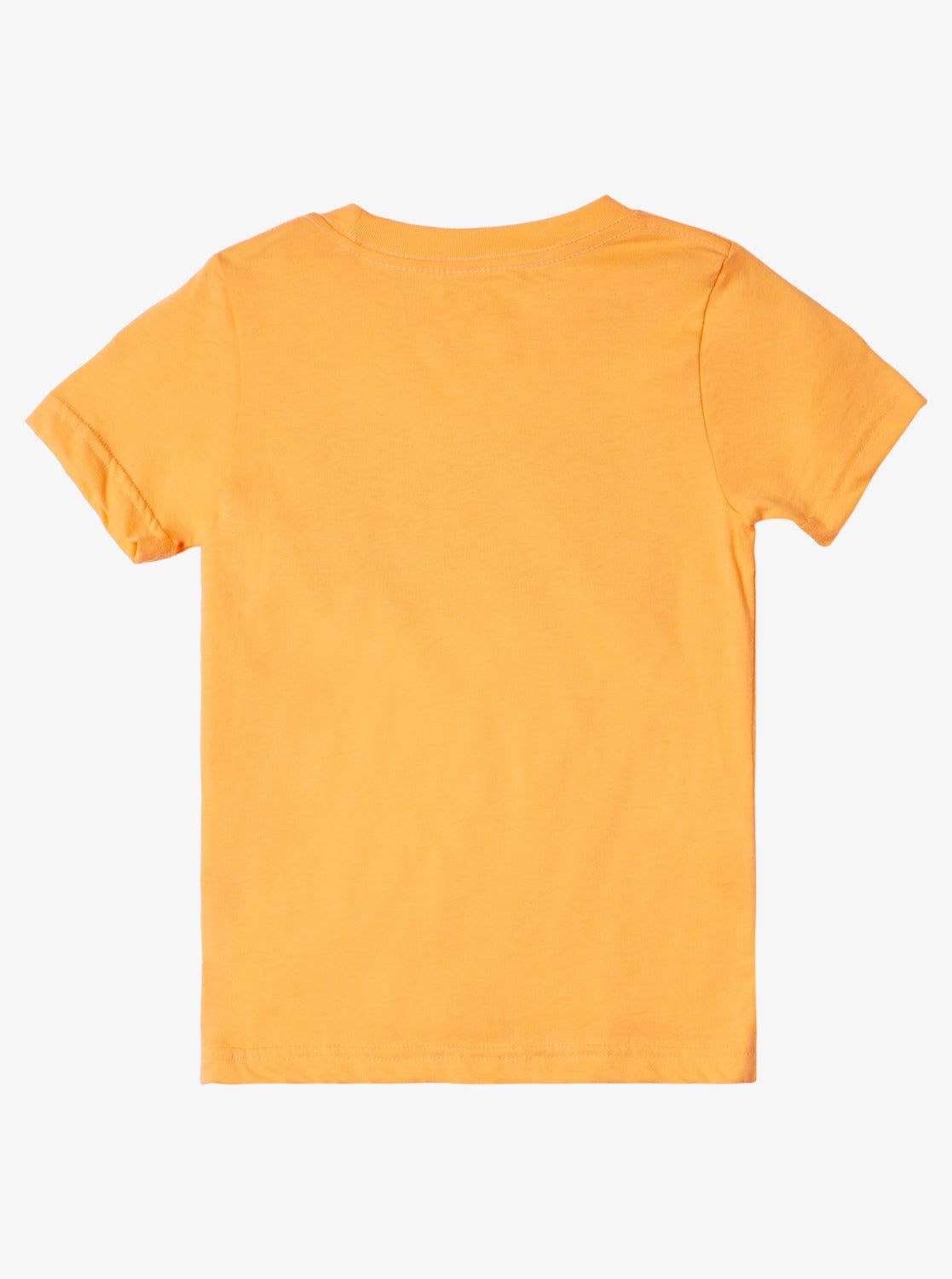 Boys 8-16 Day Tripper T-Shirt - Tangerine sold by Quiksilver product image thumbnail 2