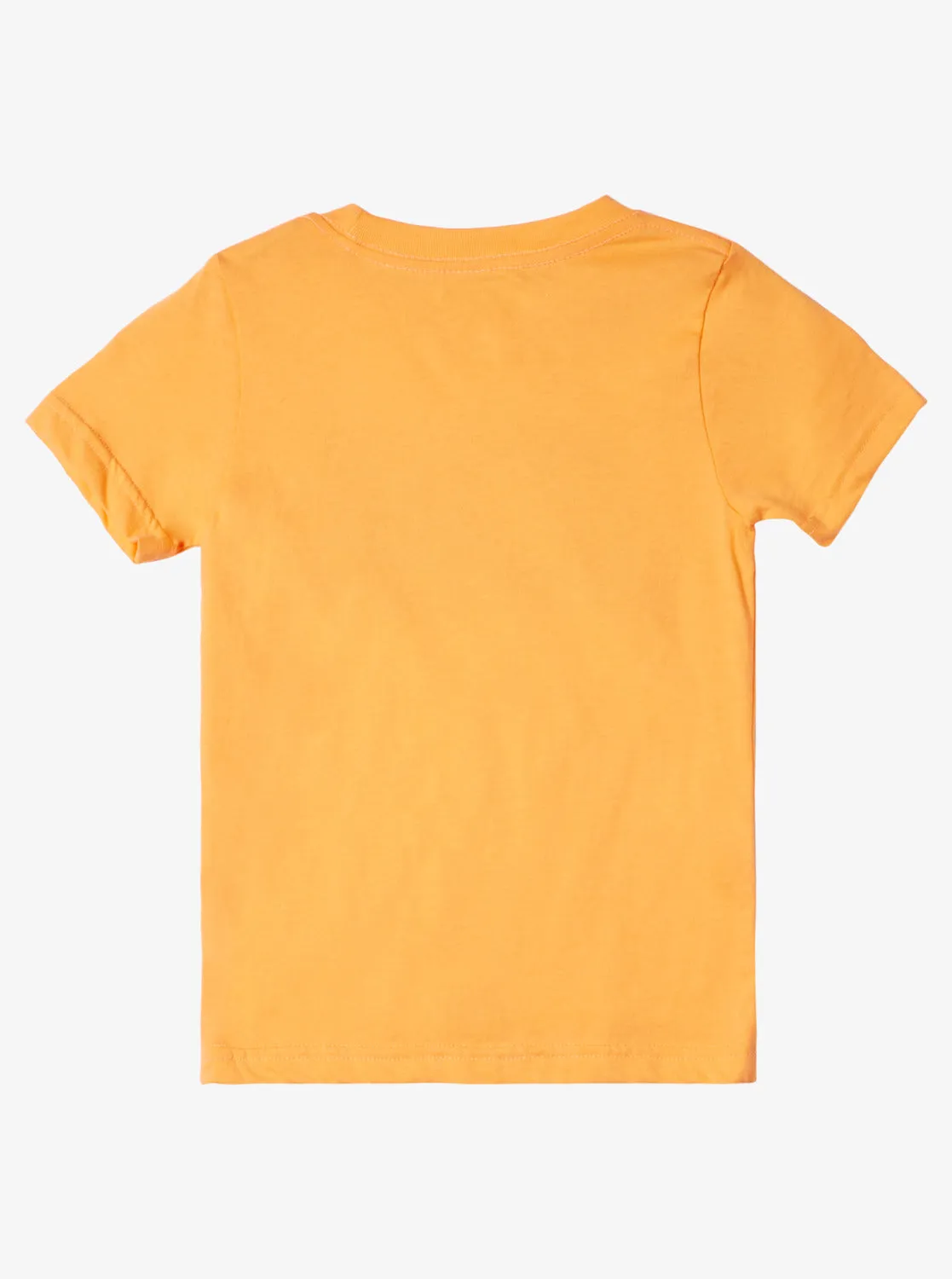 Boys 2-7 Day Tripper T-Shirt - Tangerine sold by Quiksilver product image thumbnail 2