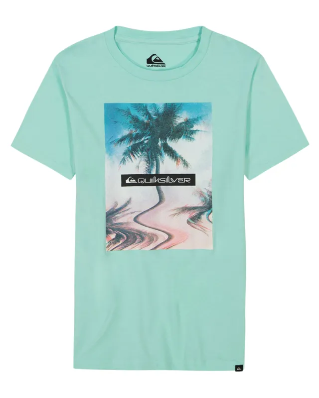 Boys 8-16 Distortion T-Shirt - Beach Glass sold by Quiksilver