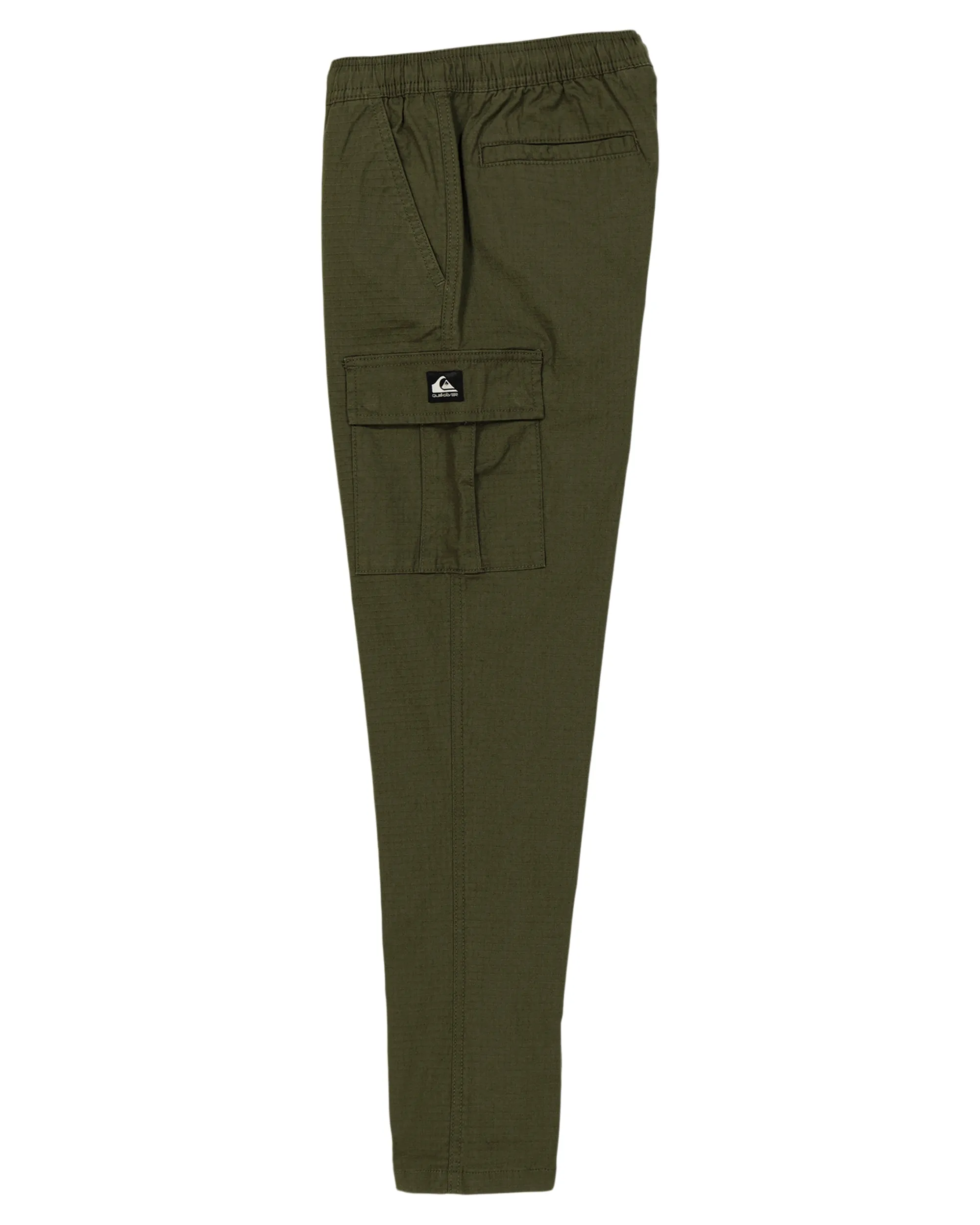 Boys 8-16 DNA Beach Cargo Pants - Grape Leaf sold by Quiksilver product image thumbnail 3