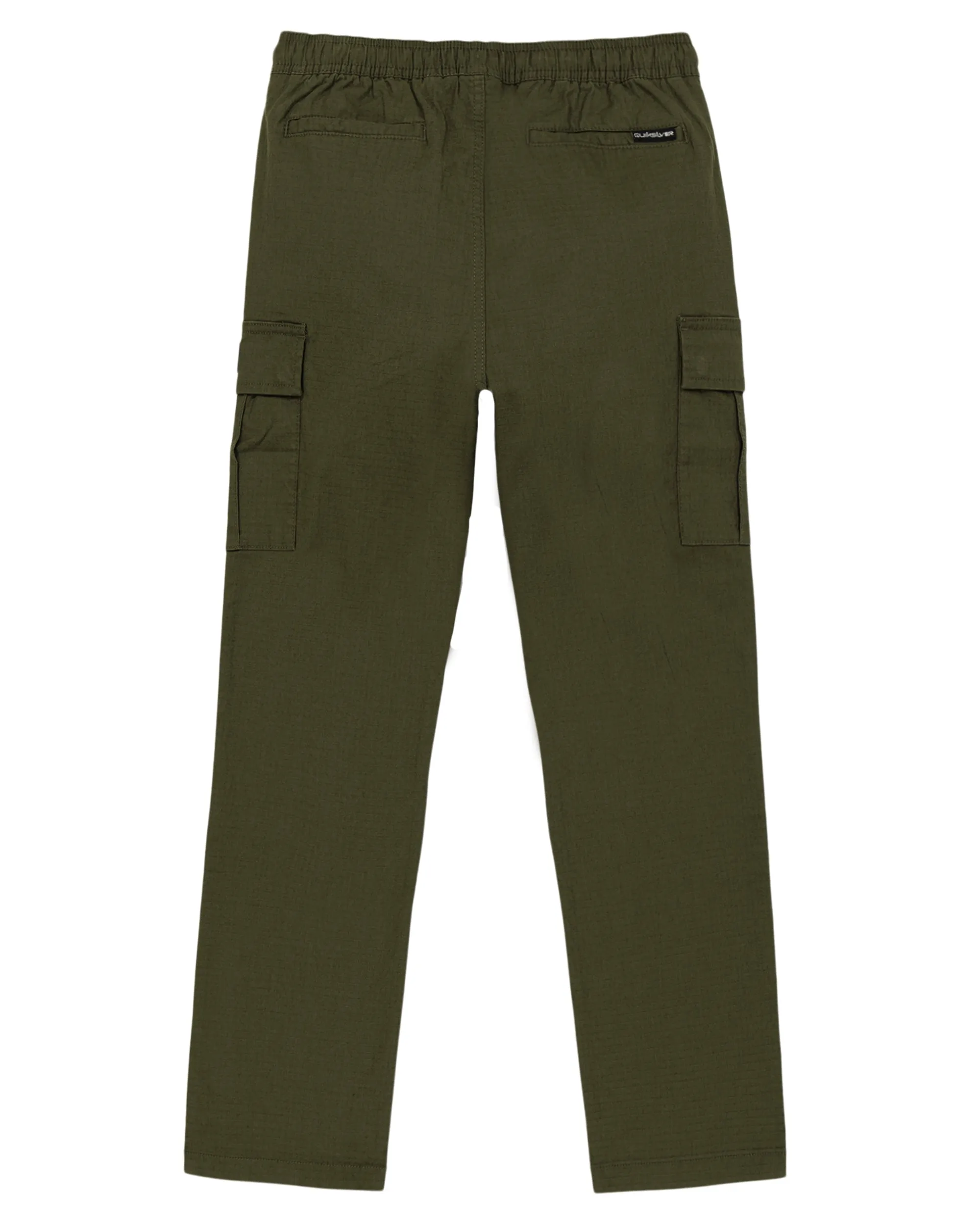 Boys 8-16 DNA Beach Cargo Pants - Grape Leaf sold by Quiksilver product image thumbnail 2