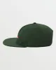 DNA Clicked Snapback Hat - Forest sold by Quiksilver