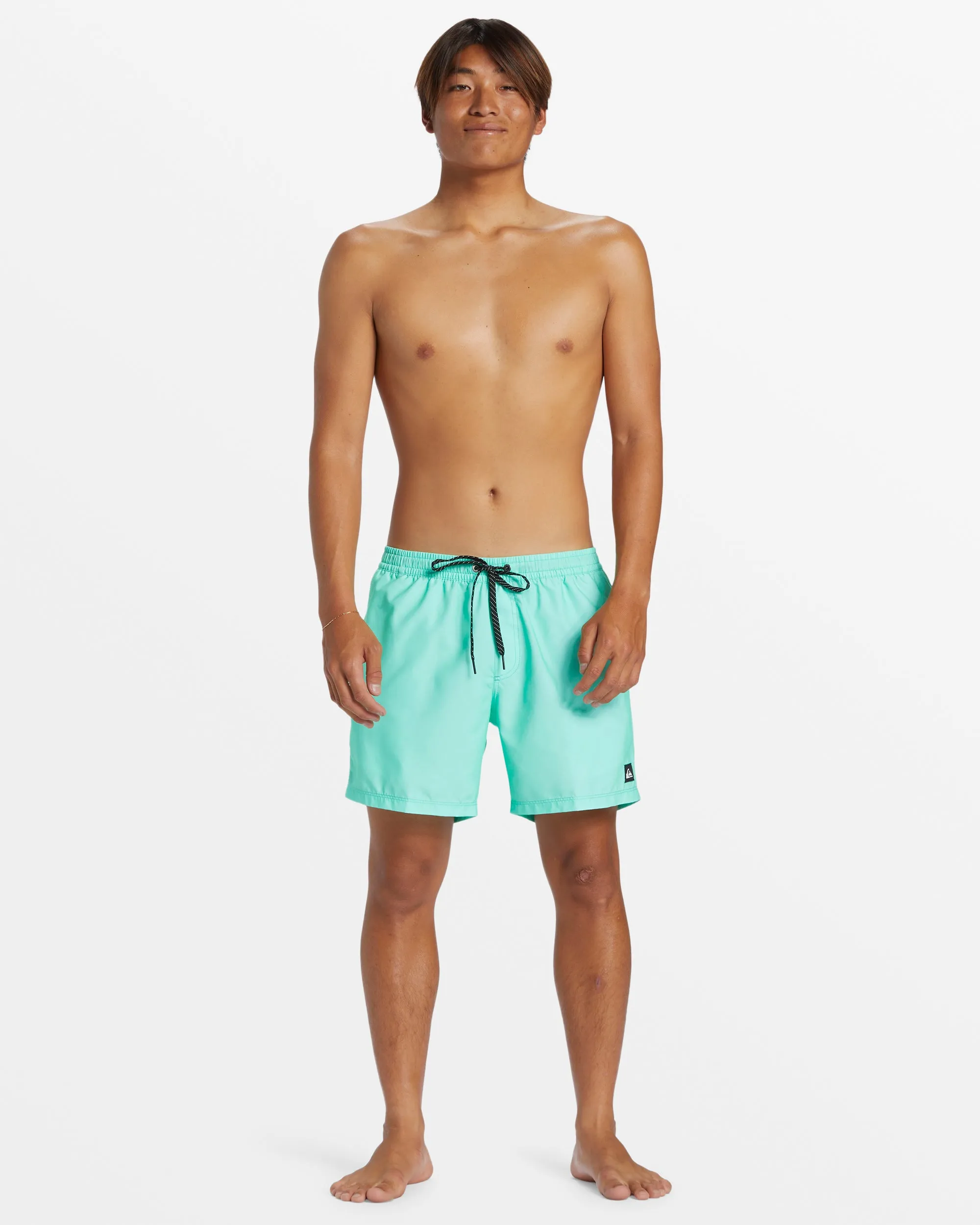 Everyday Solid 15" Swim Trunks - Beveled Glass sold by Quiksilver product image thumbnail 3