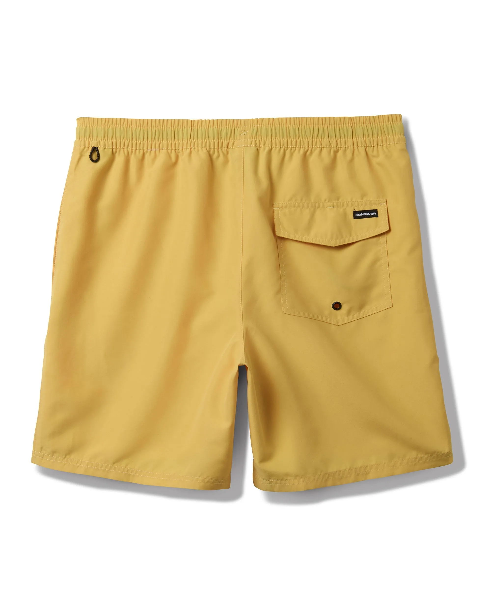 Everyday Solid 17" Swim Trunks - Golden Haze sold by Quiksilver product image thumbnail 2