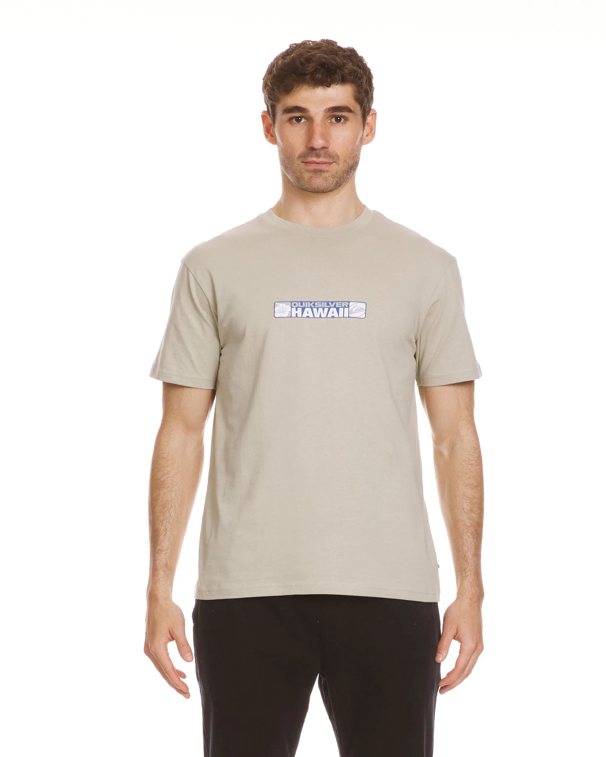 Hawaii Bumper Sticker T-Shirt - Pale Aloe sold by Quiksilver