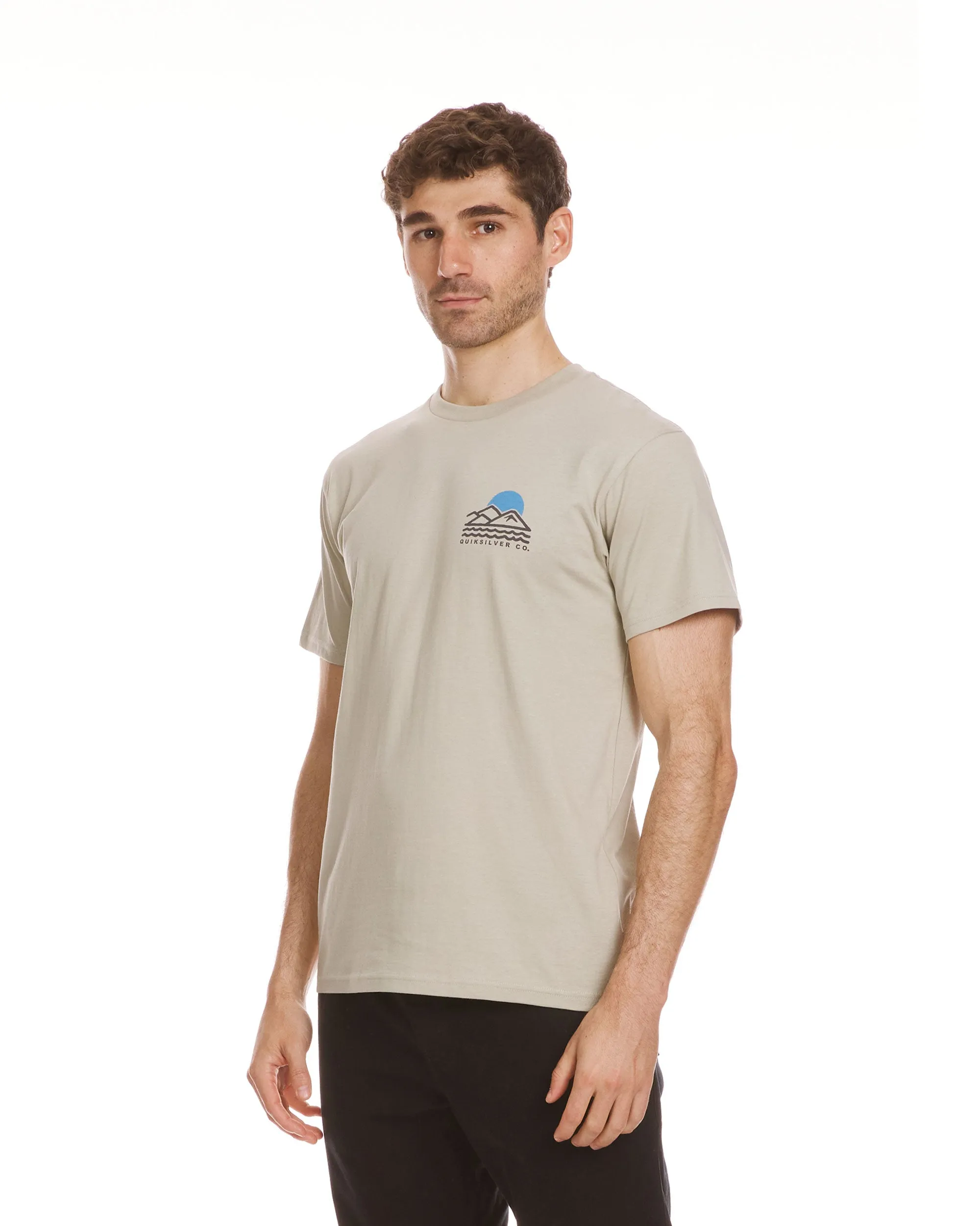 Blue Lines T-Shirt - Pale Aloe sold by Quiksilver product image thumbnail 3