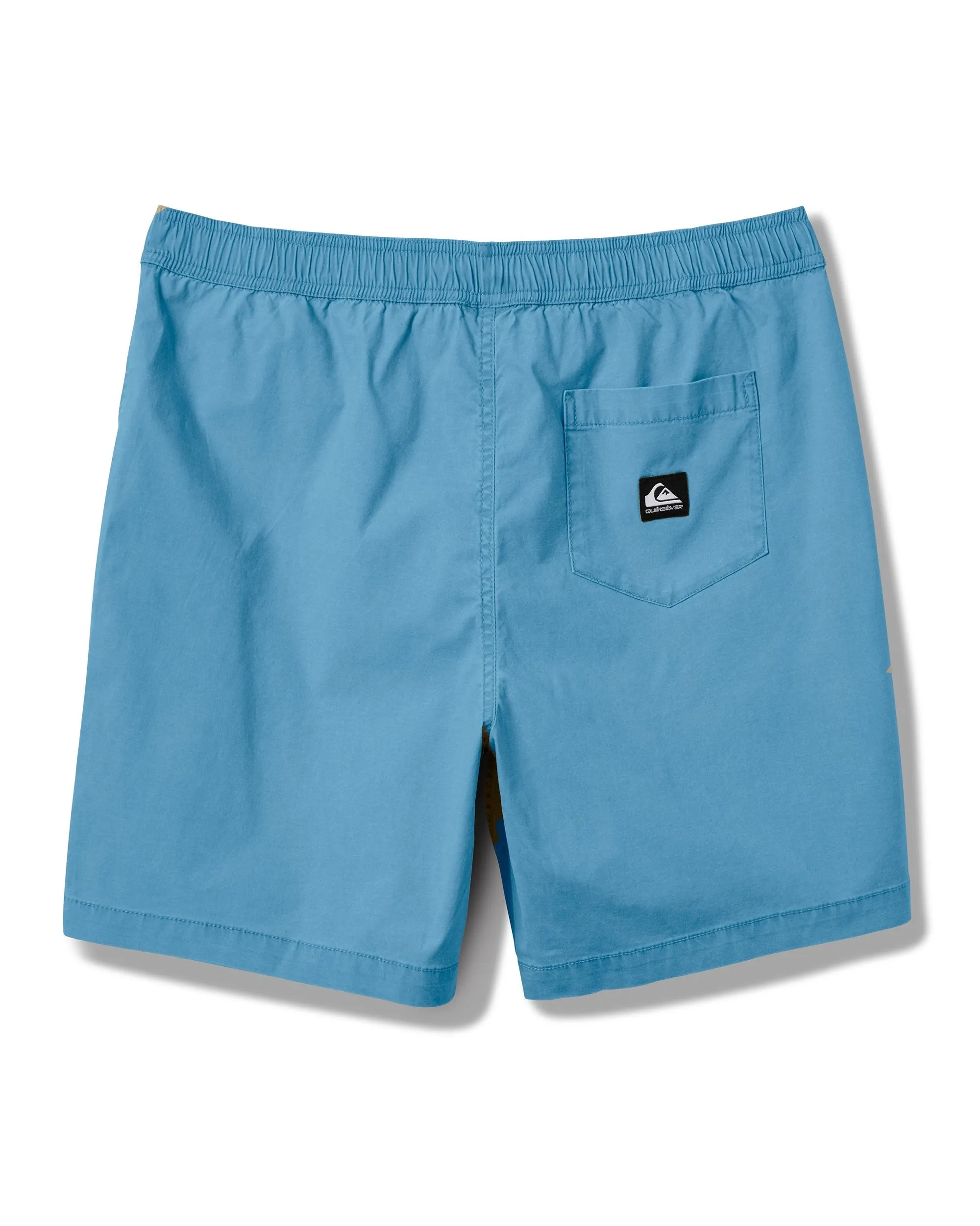 Taxer Shorts - Niagara sold by Quiksilver product image thumbnail 2