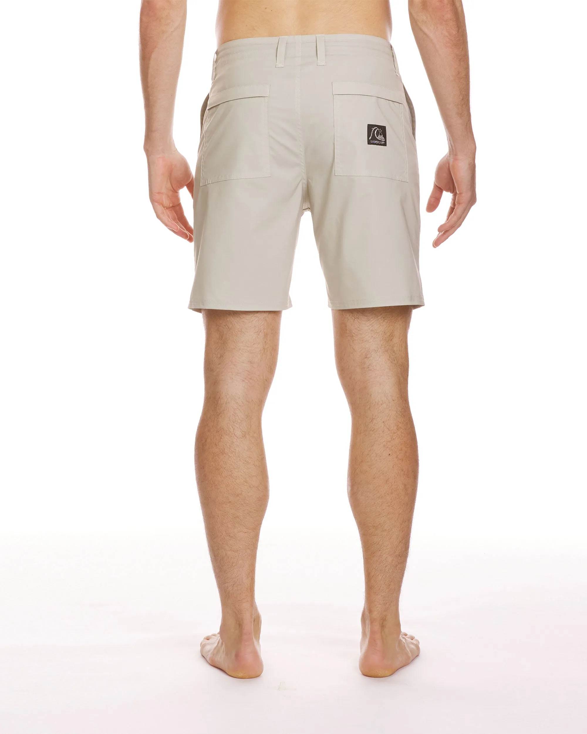 DNA Amphibian 19" Amphibian Hybrid Shorts - Pale Aloe sold by Quiksilver product image thumbnail 2